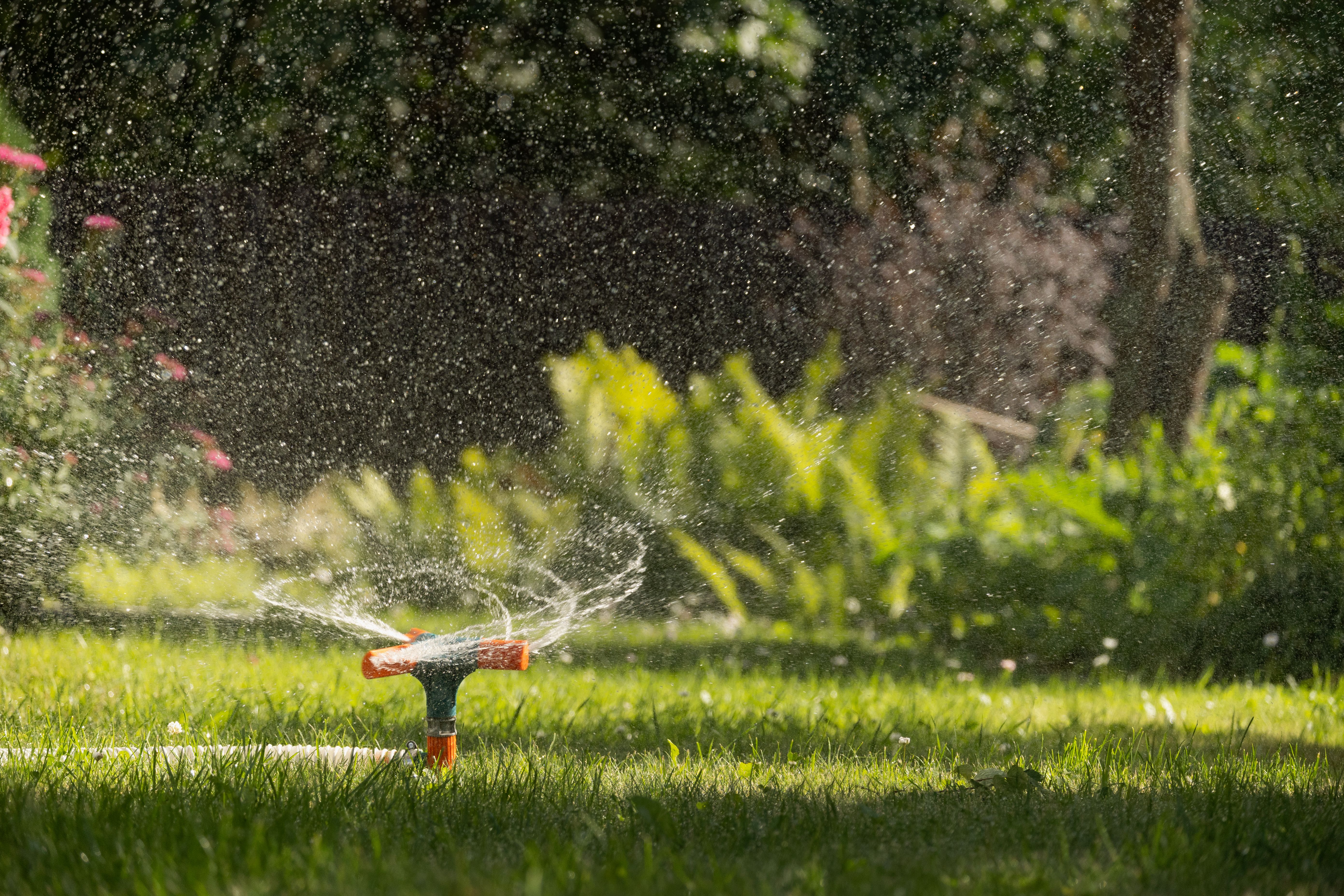 garden watering