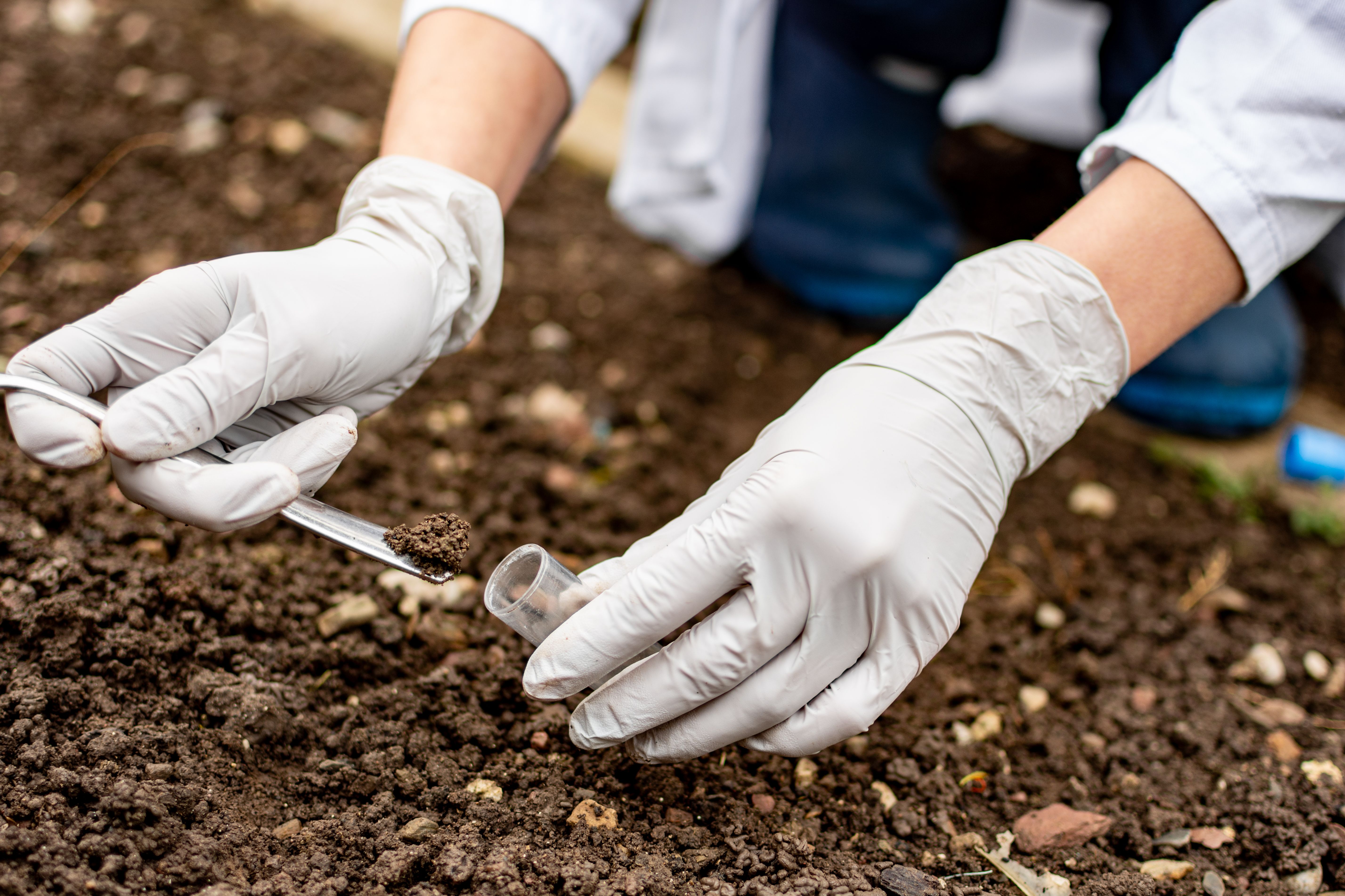 soil testing