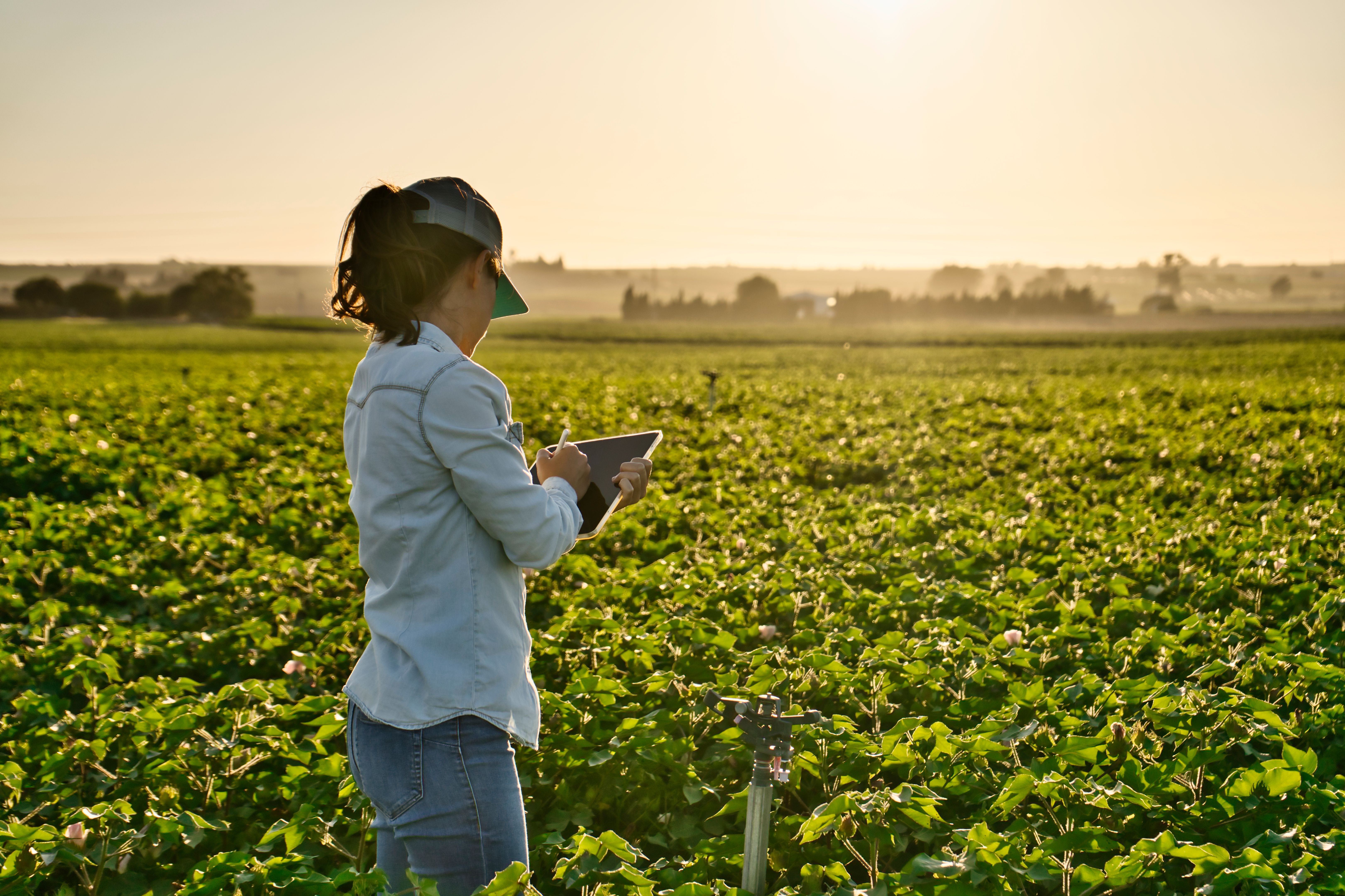 precision farming technology