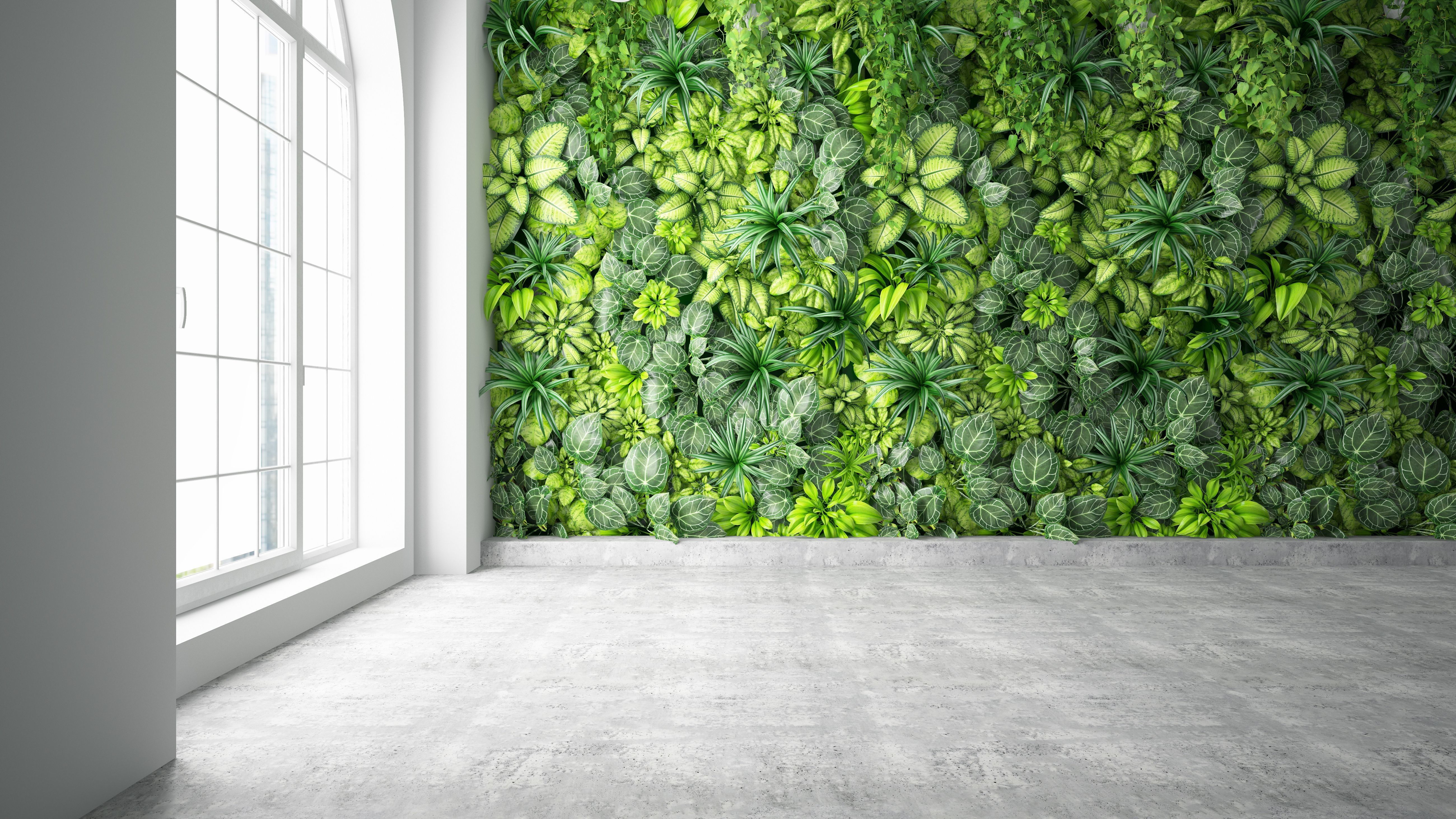 Vertical Garden with Empty Wall Vertical Garden with Empty Wall