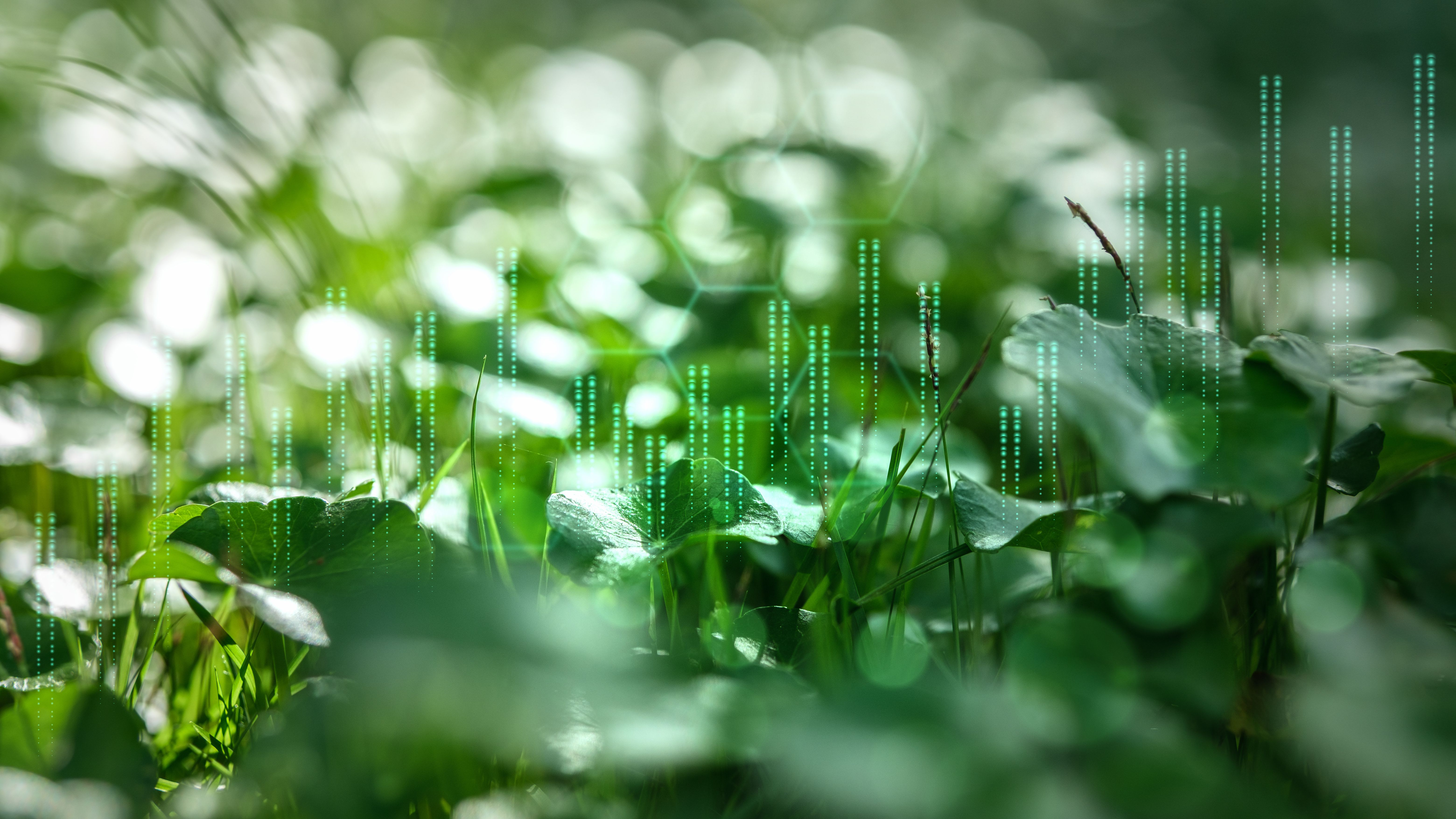 data analytics farming