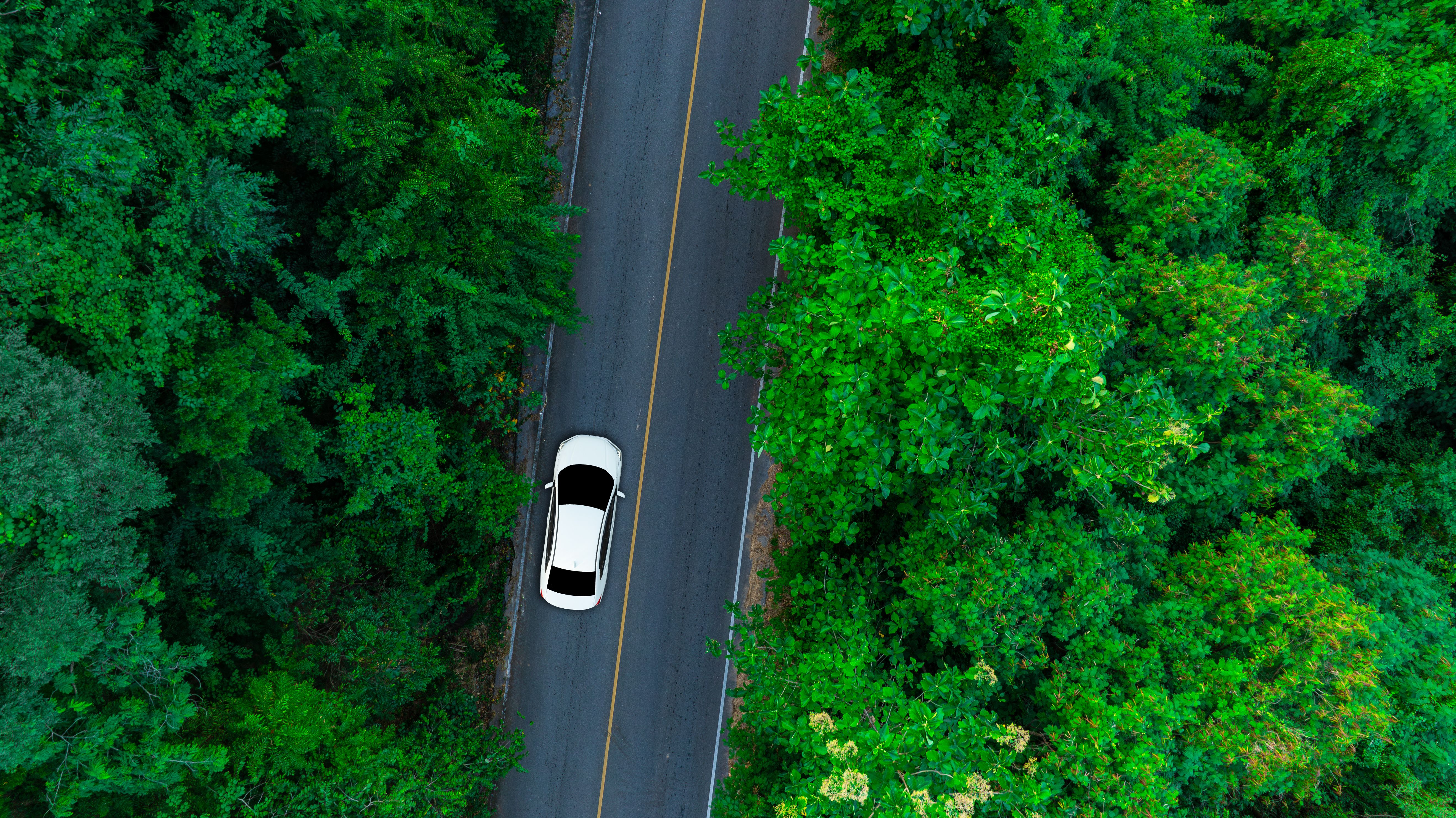 eco friendly driveway