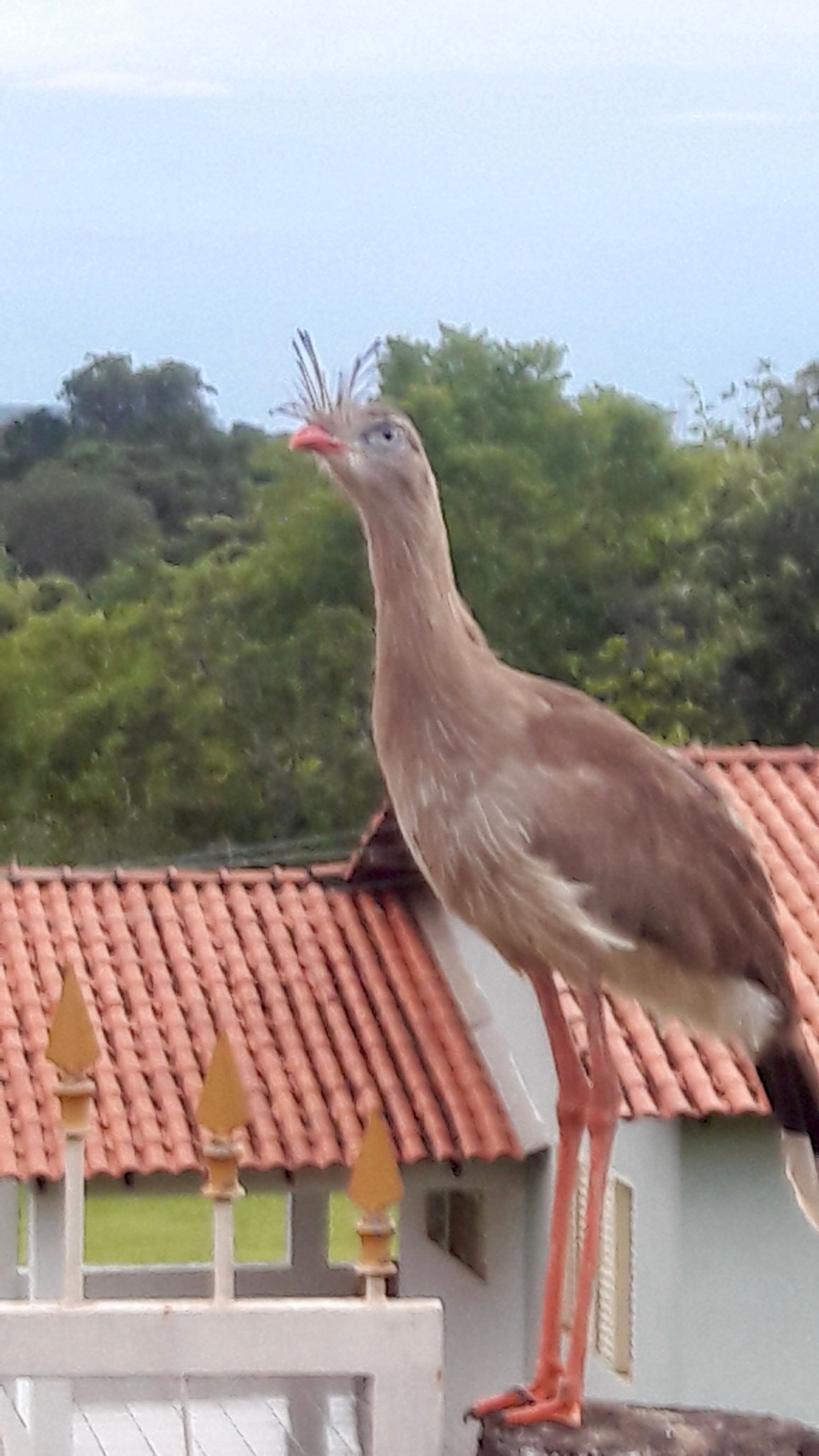 igualdade de gênero