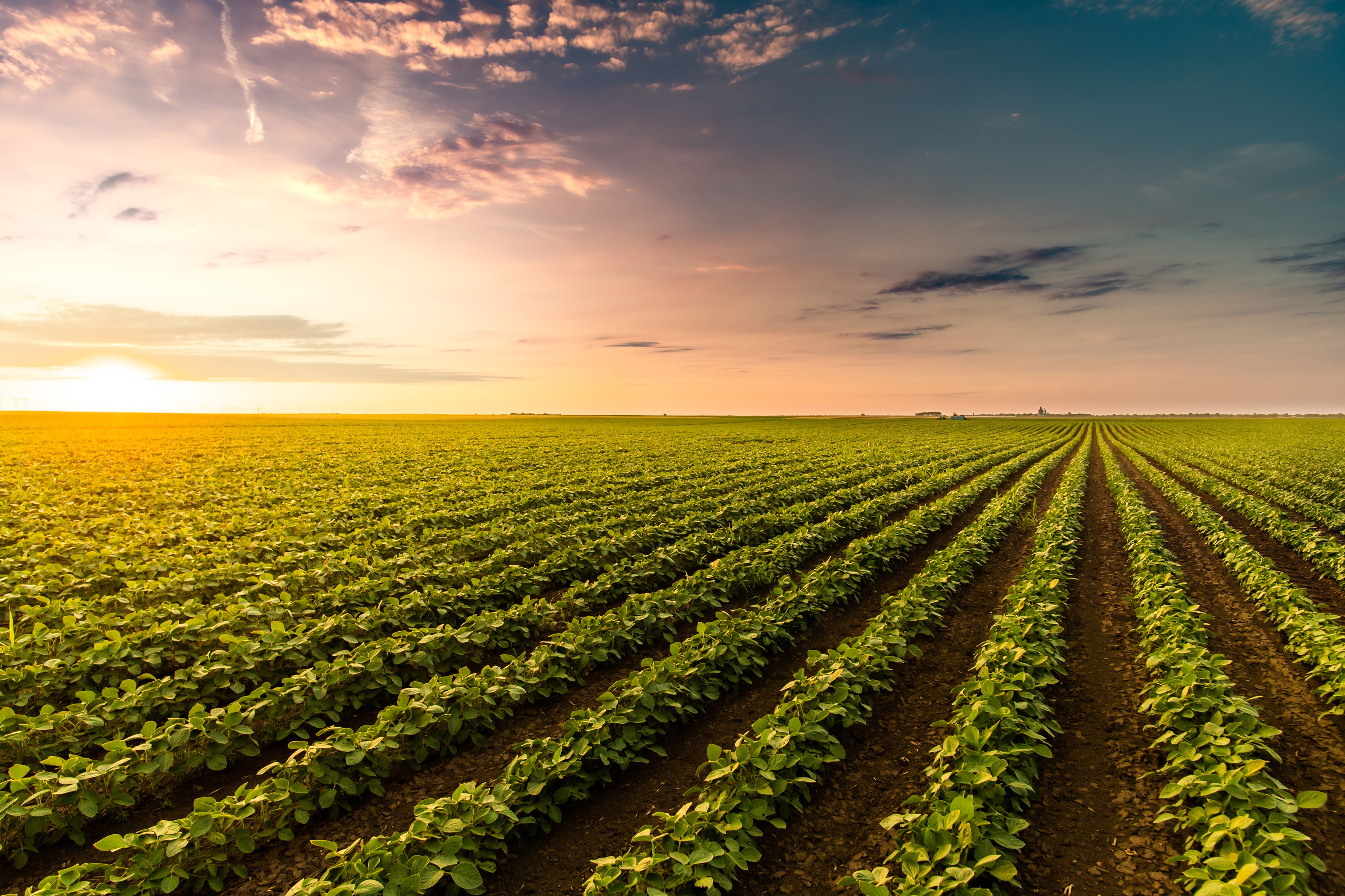 seasonal farming