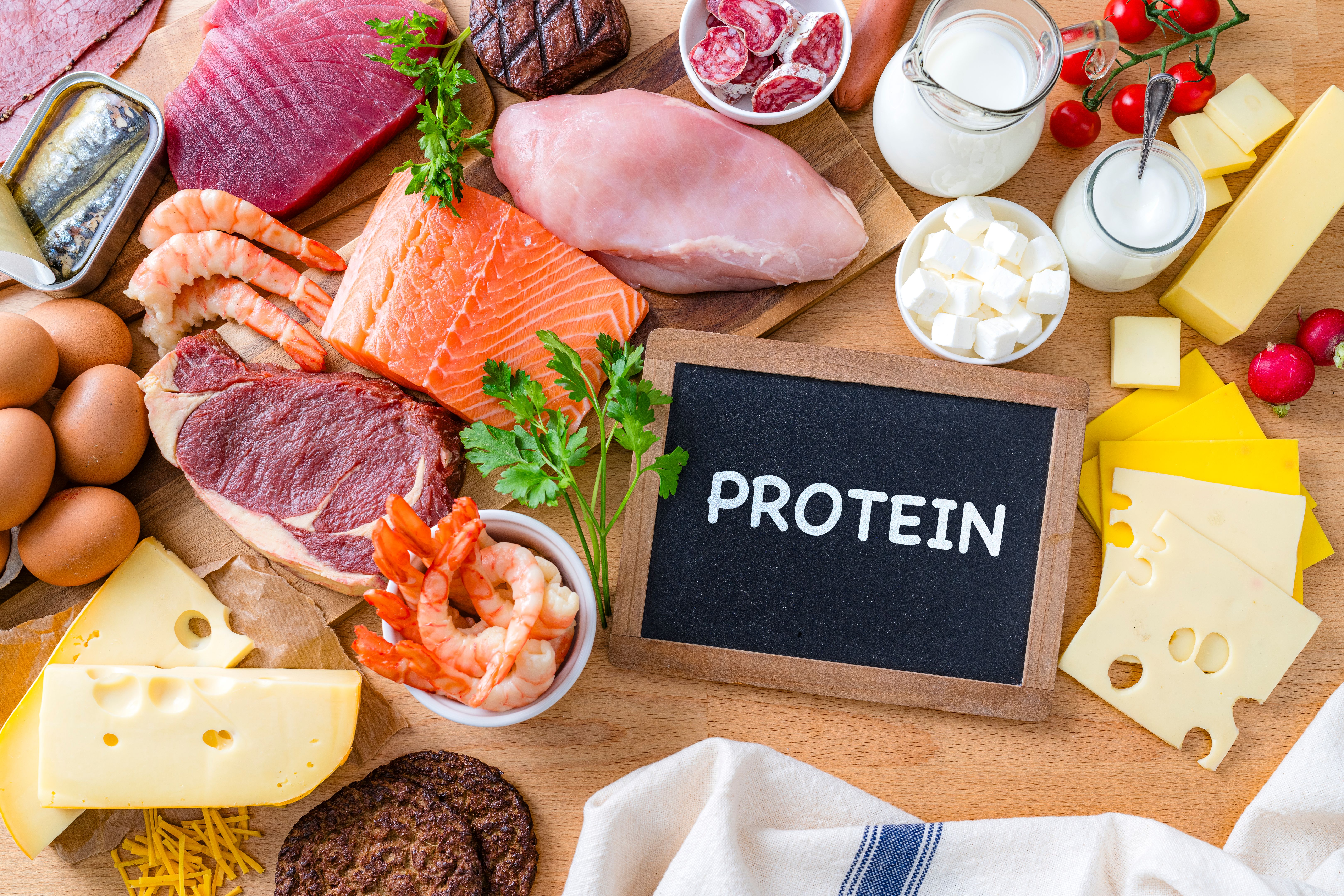 Animal sources of protein: meat, fish, chicken and dairy products