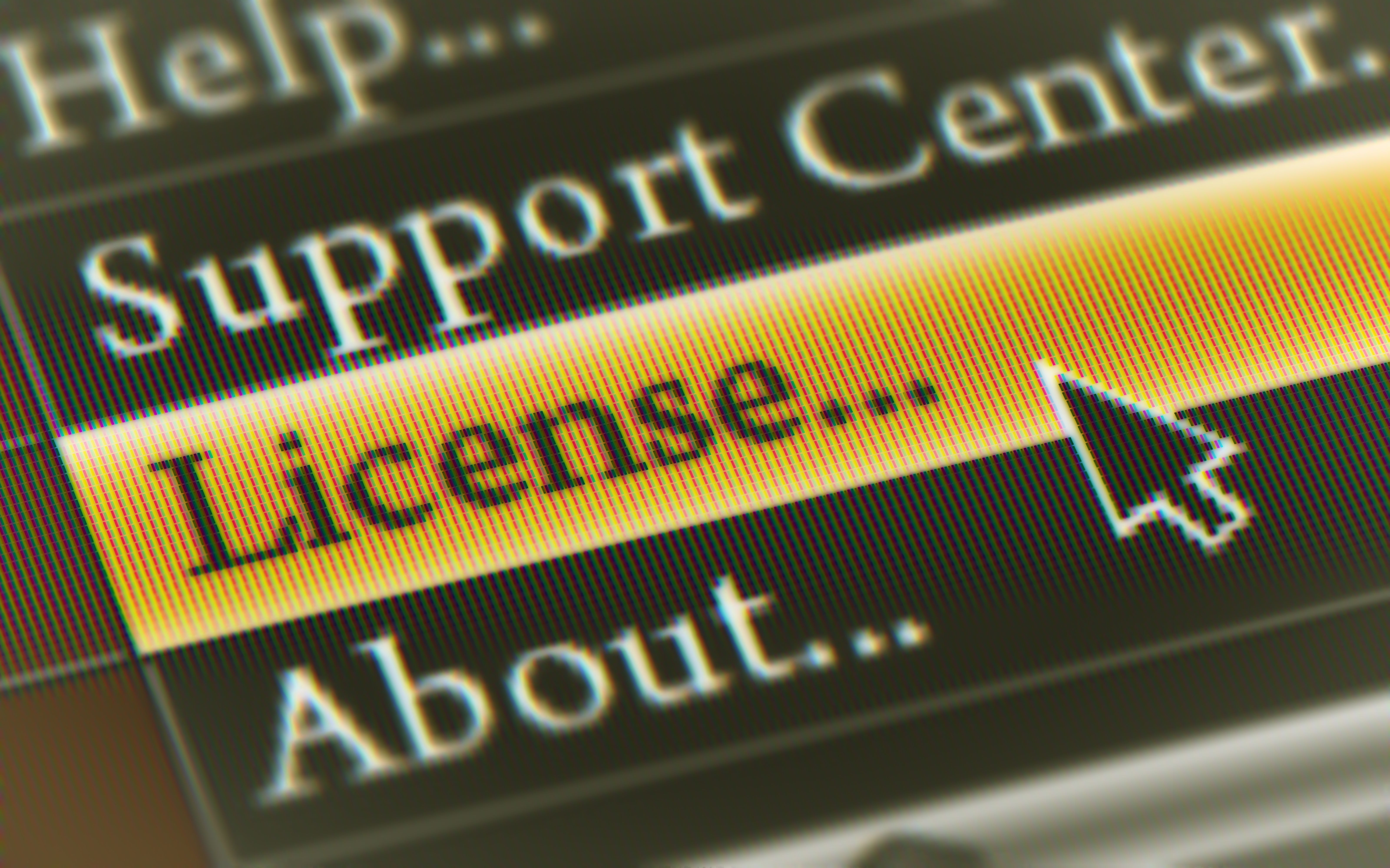 business licenses