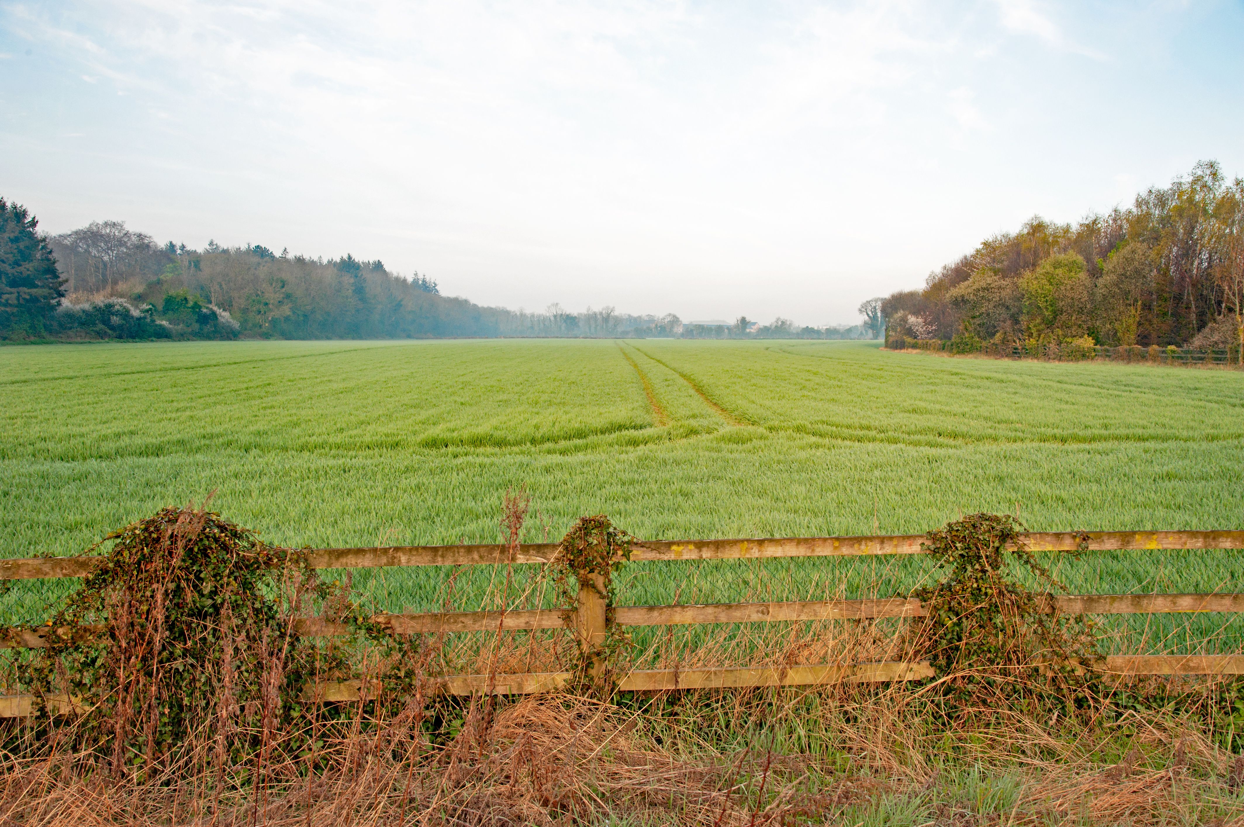 county kildare landscape