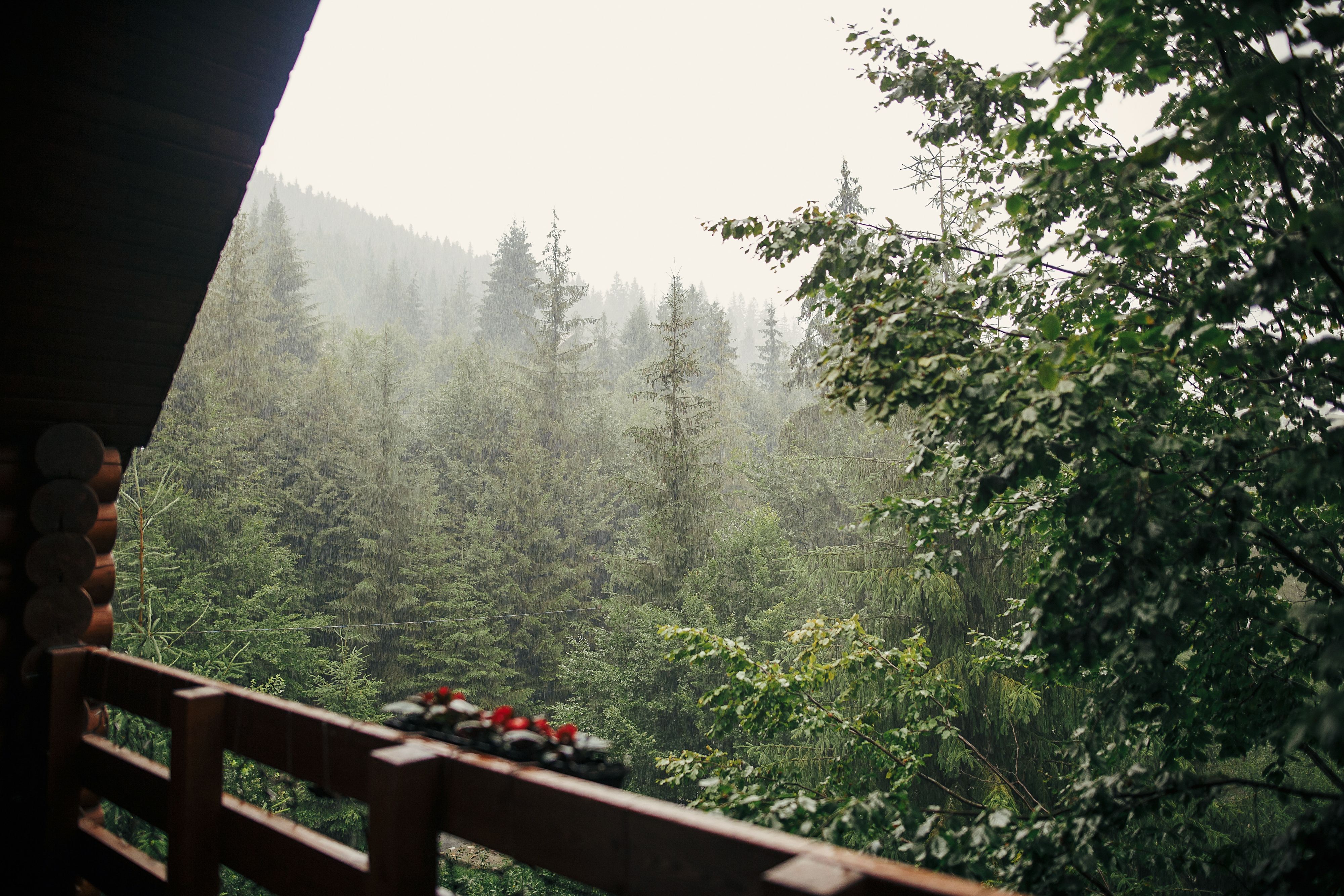 view from wooden cottage porch on rainy woods in mountains. misty forest. relaxing in cabin. calm peaceful moments