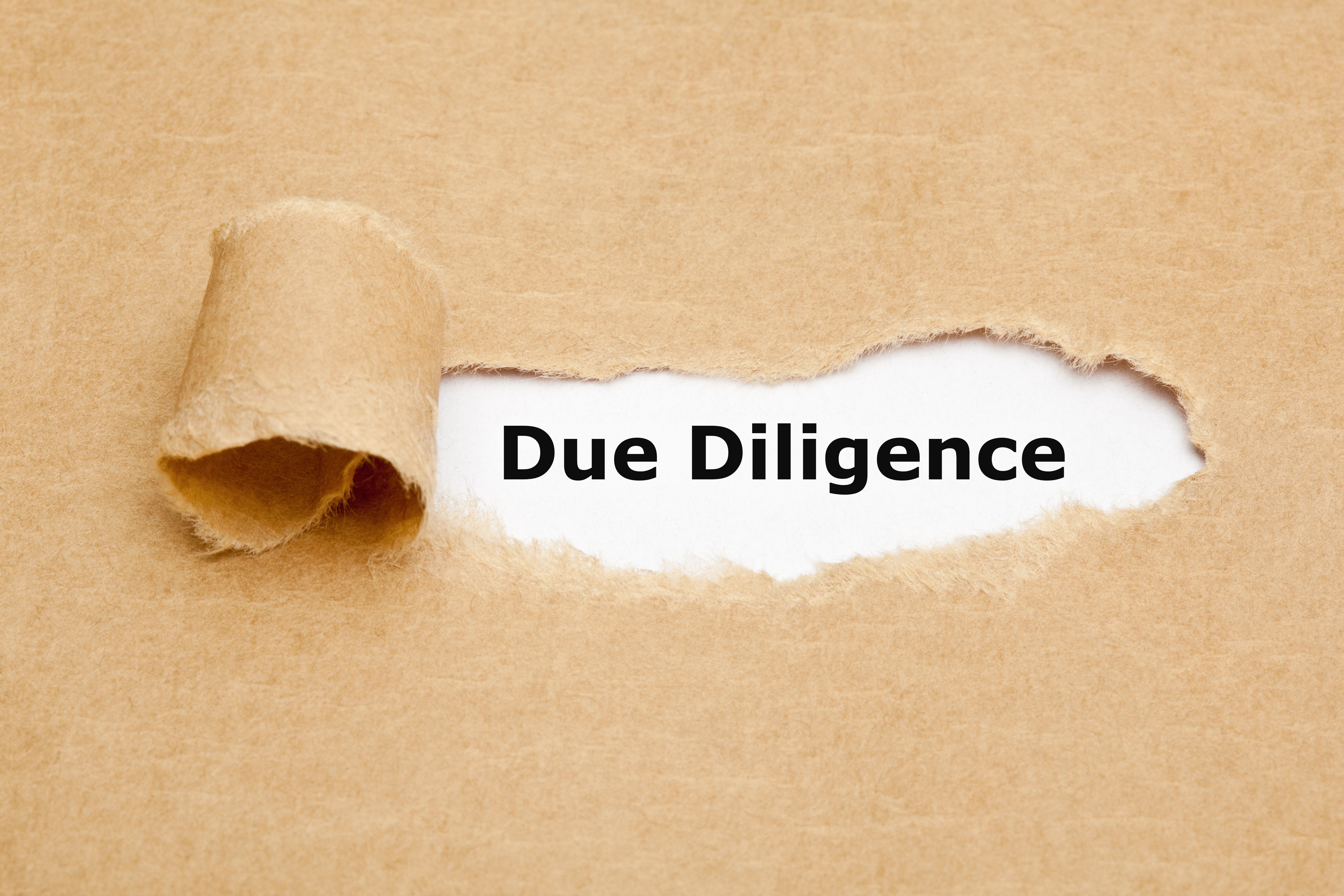 due diligence process