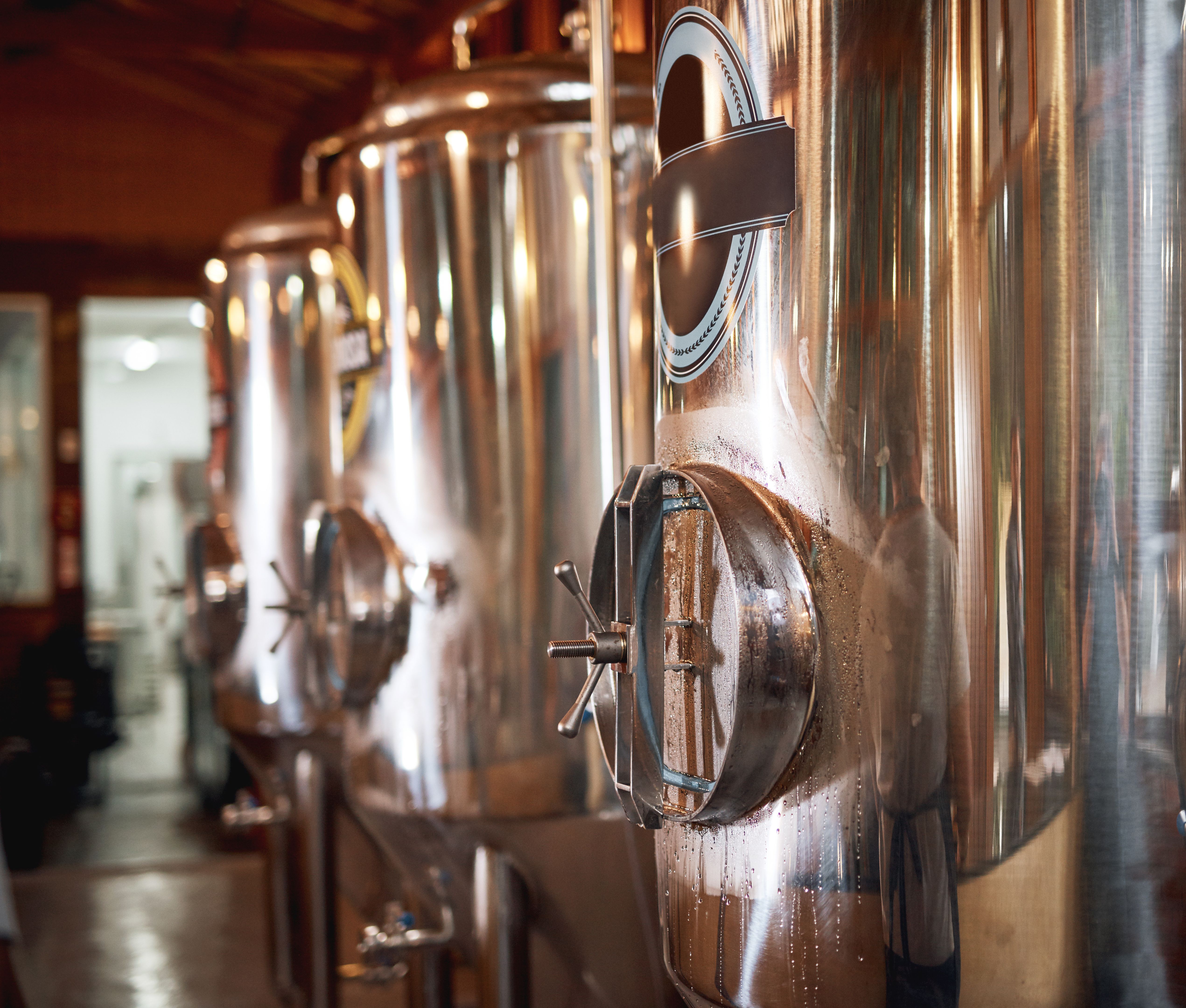 beer brewing