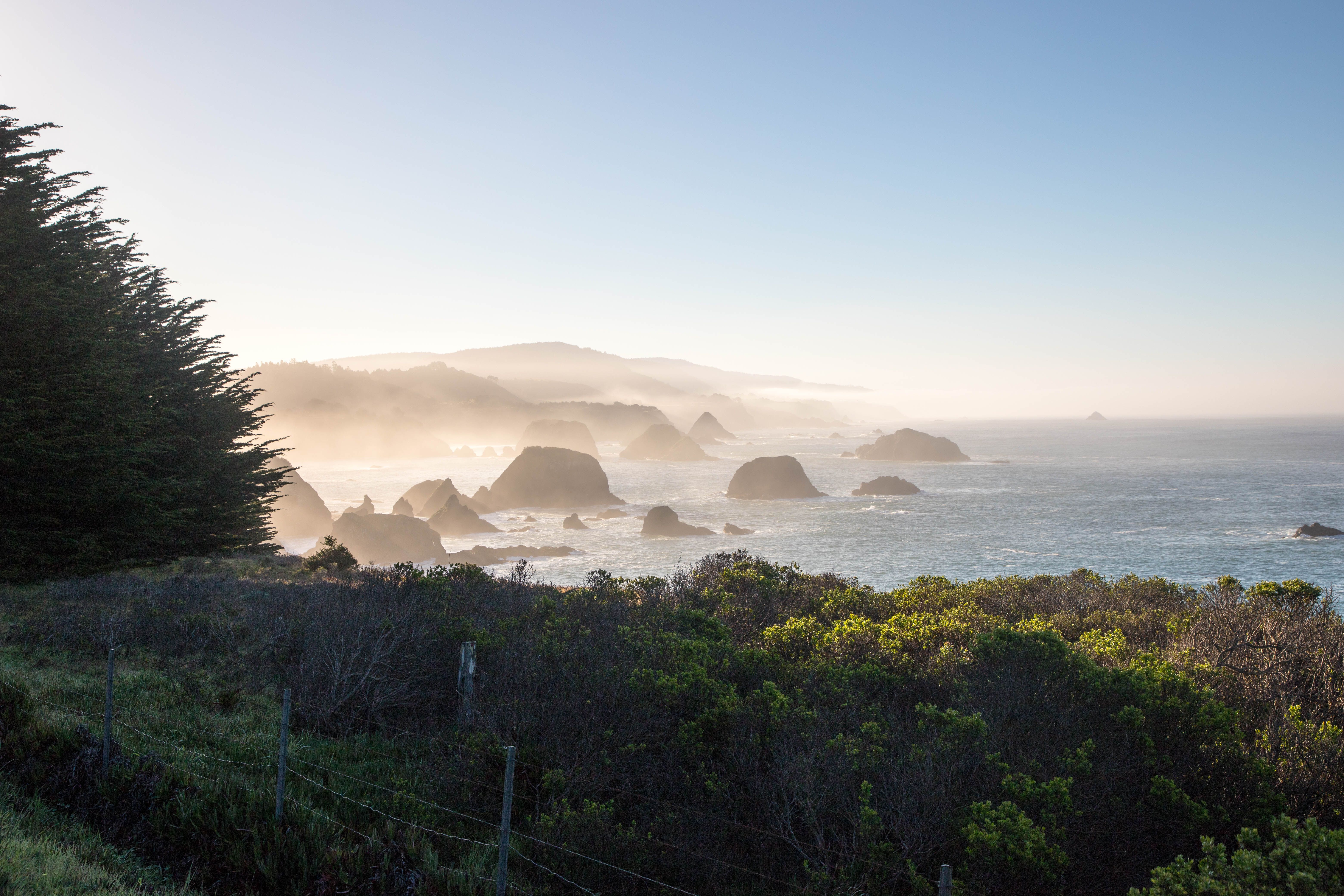 california nature