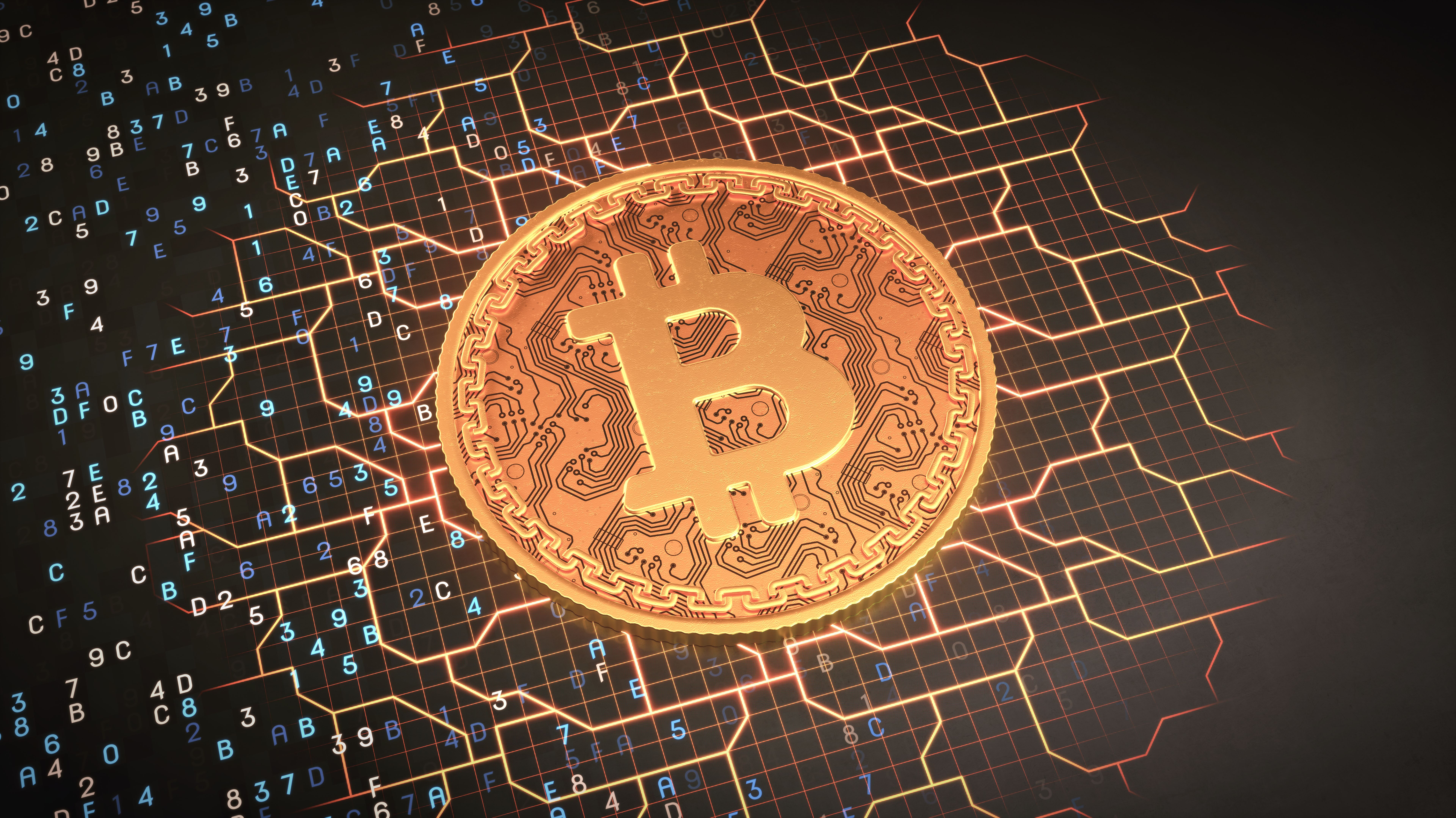crypto portfolio