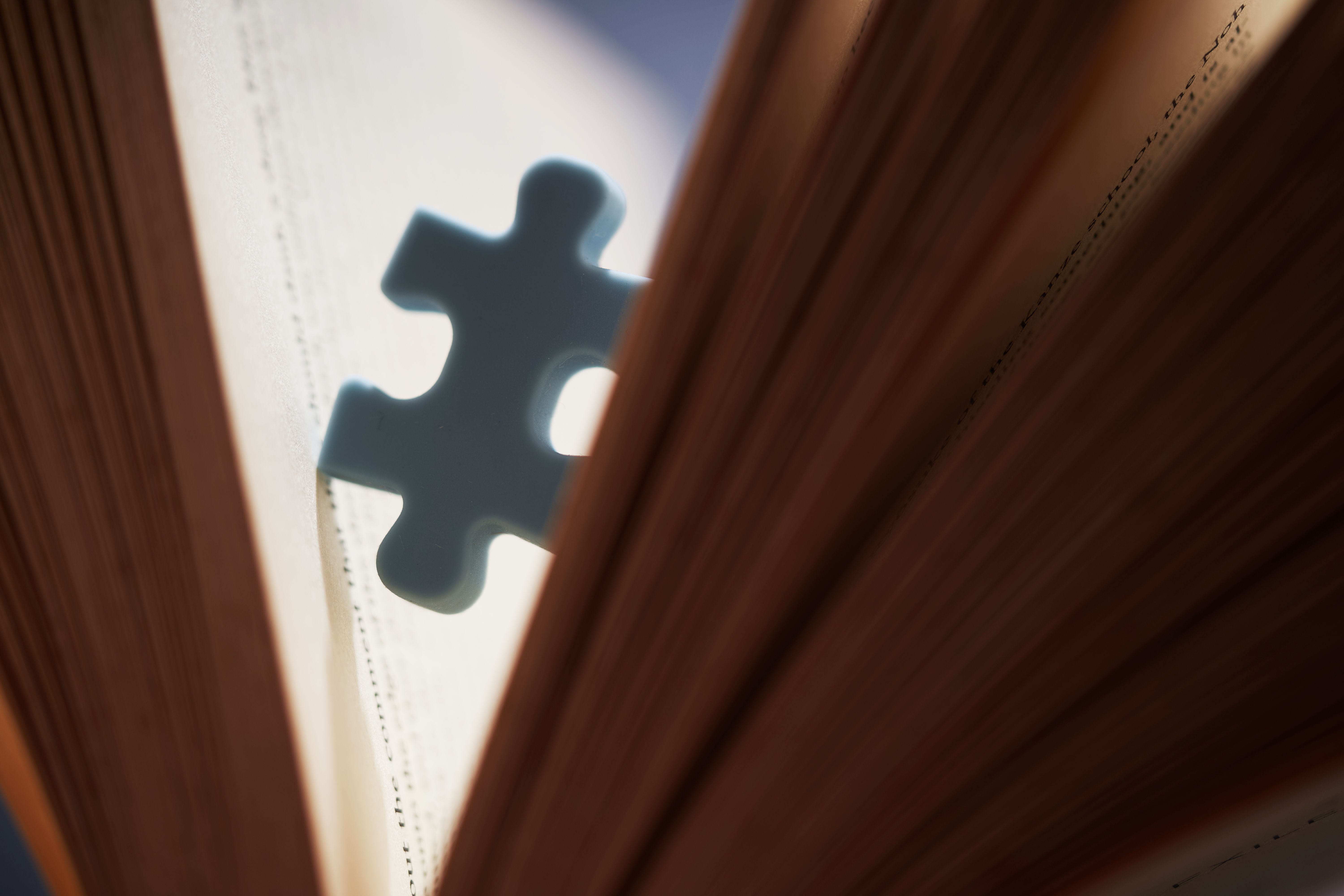 books puzzles journal