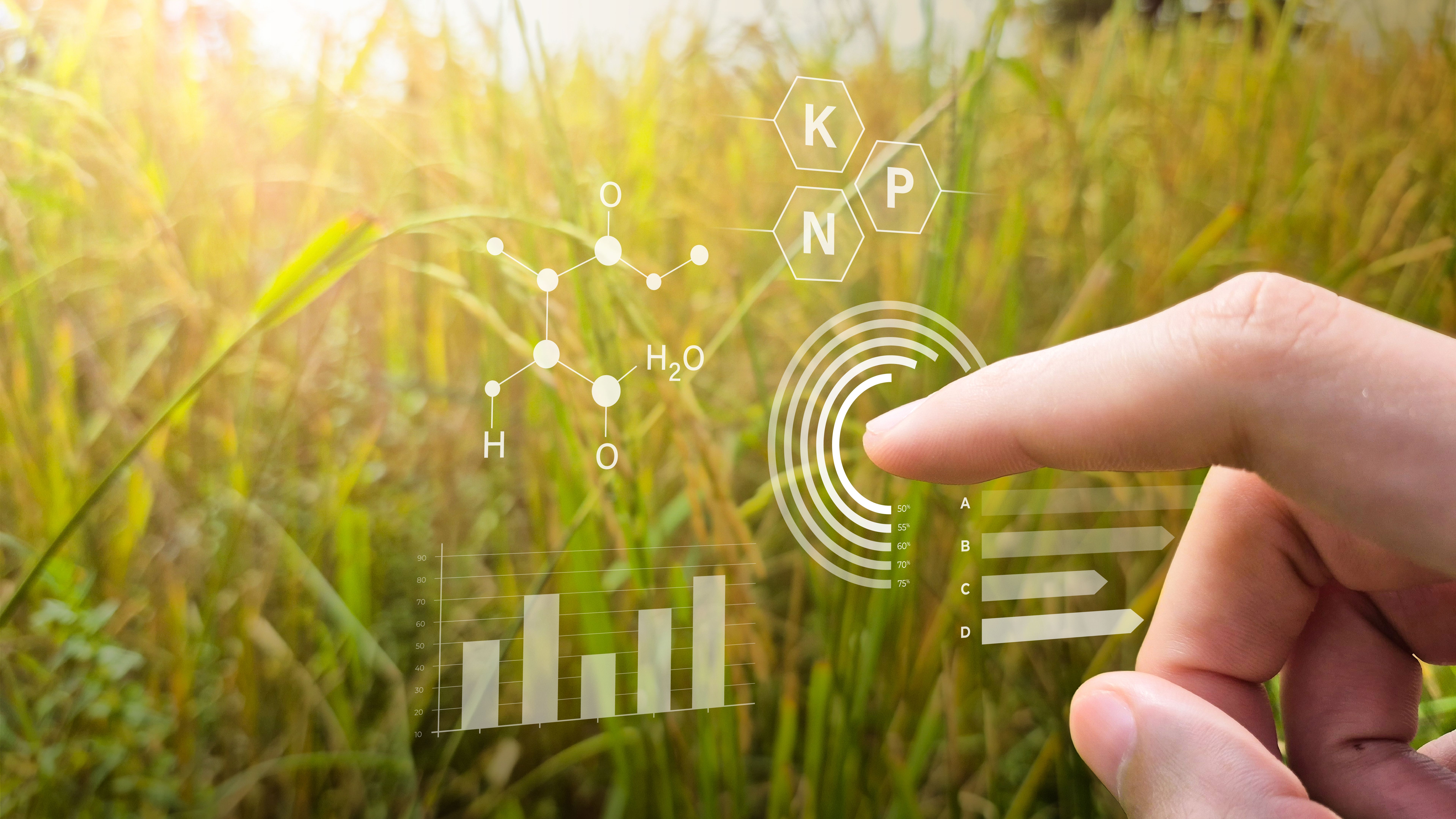 agriculture data analysis