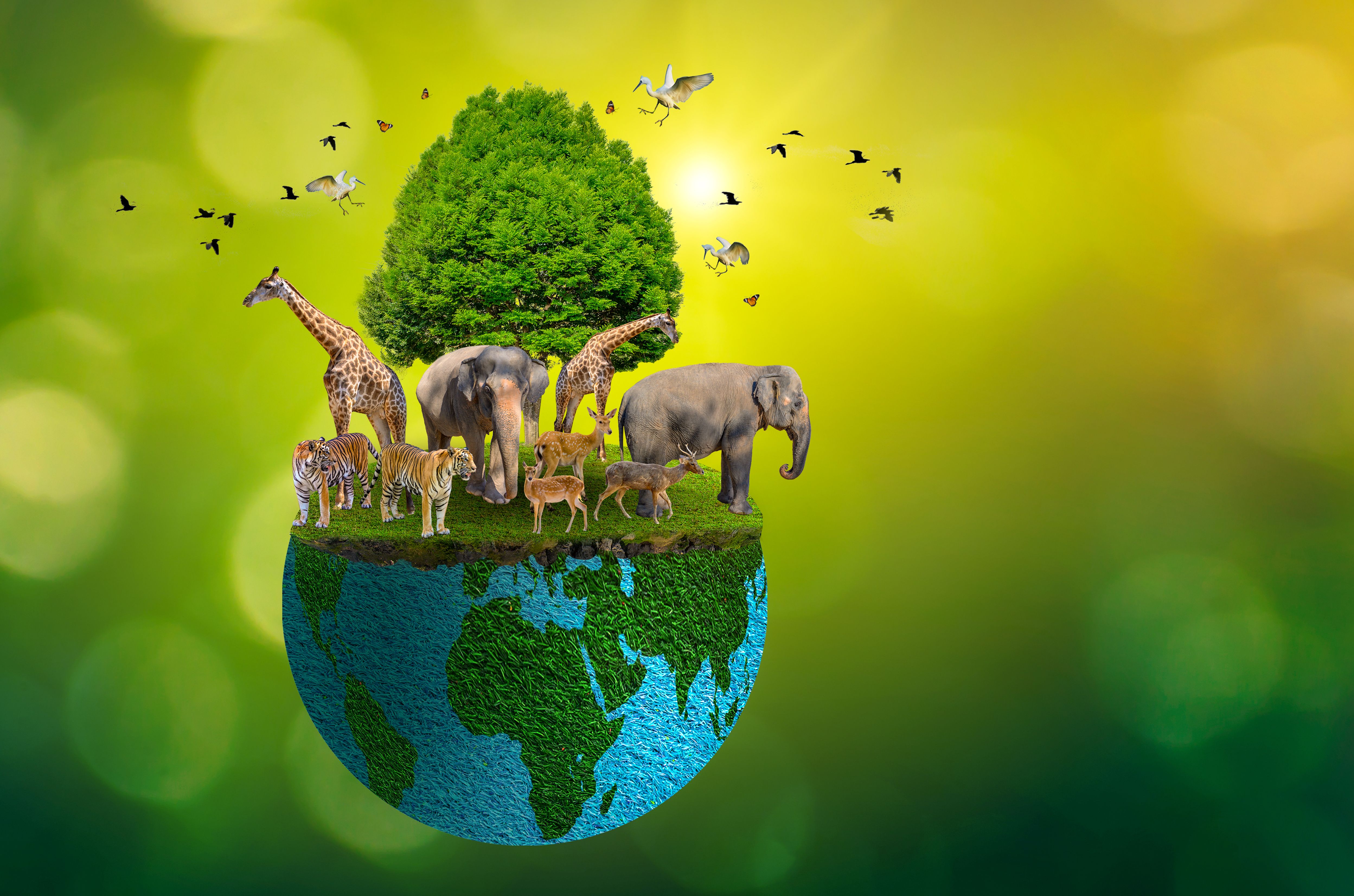 wildlife protection