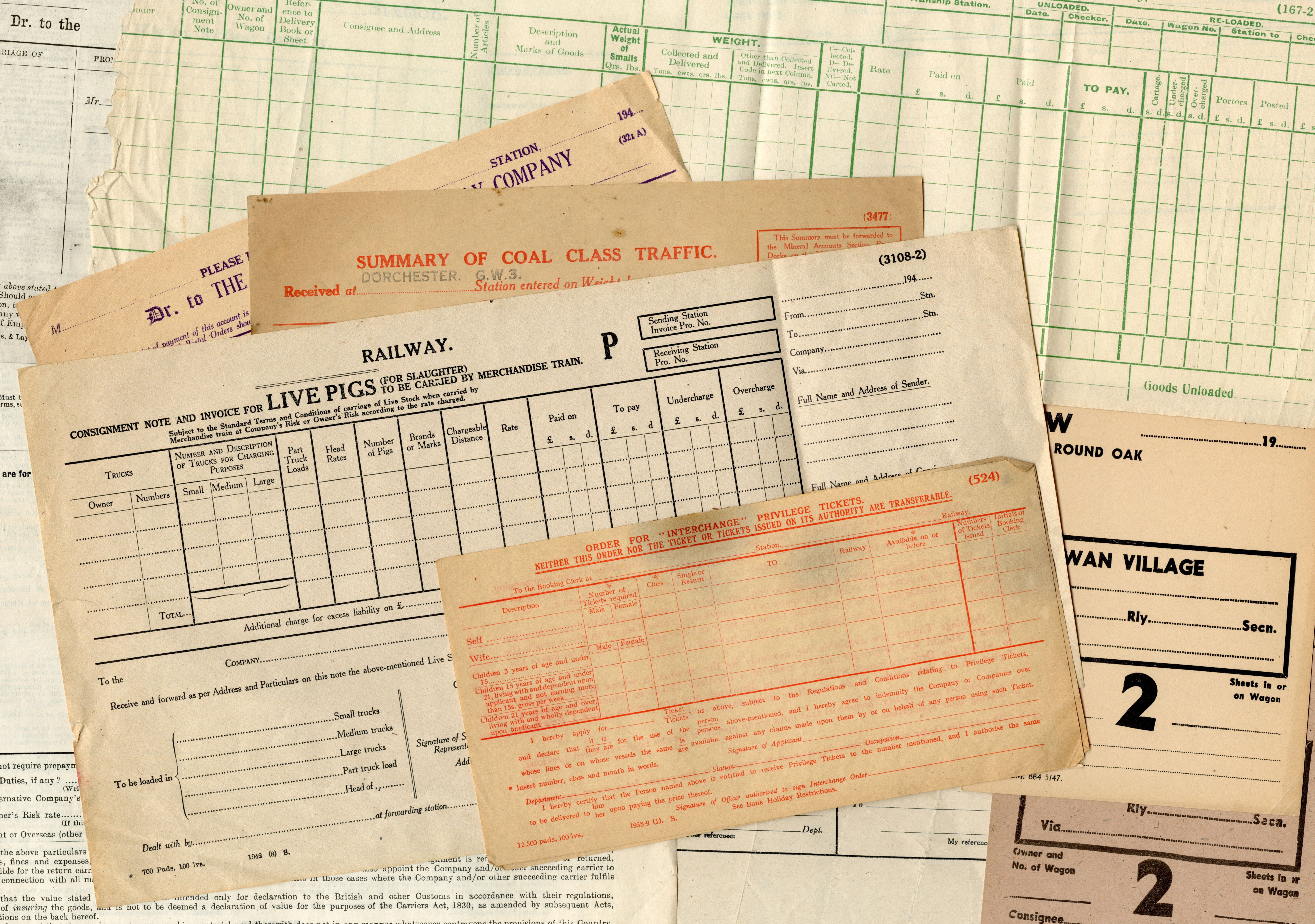 animal transport documents