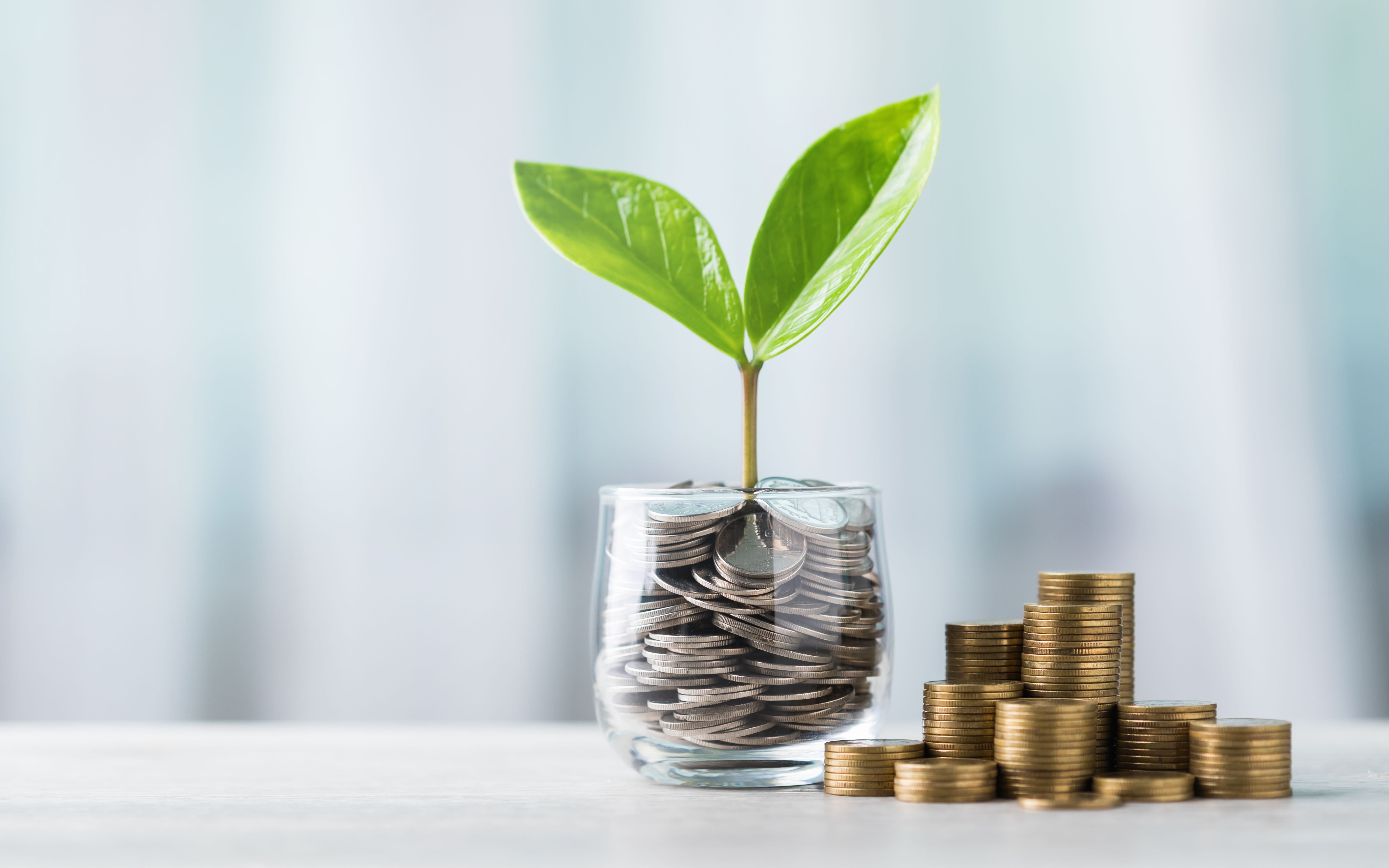 savings growth