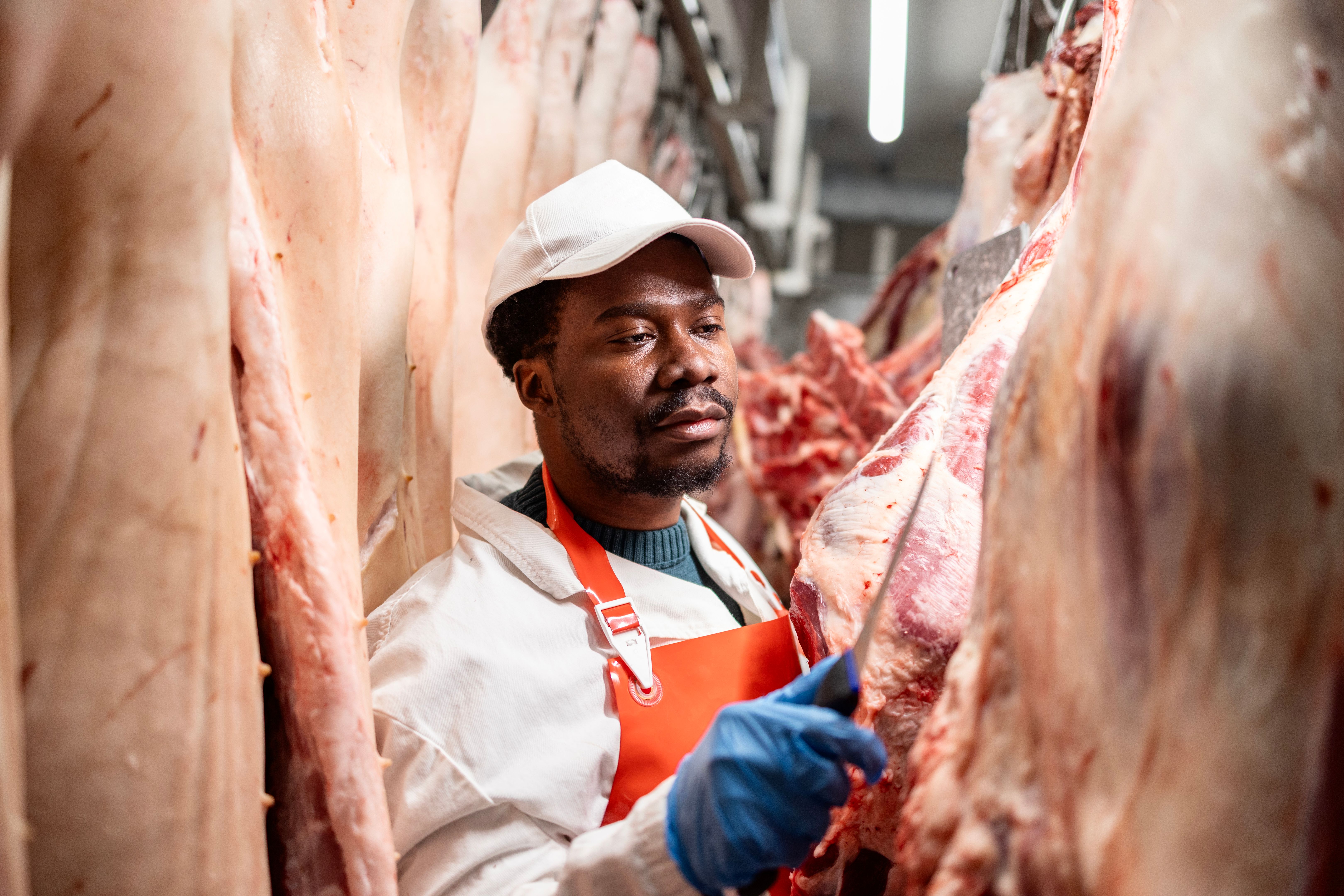 quality control beef