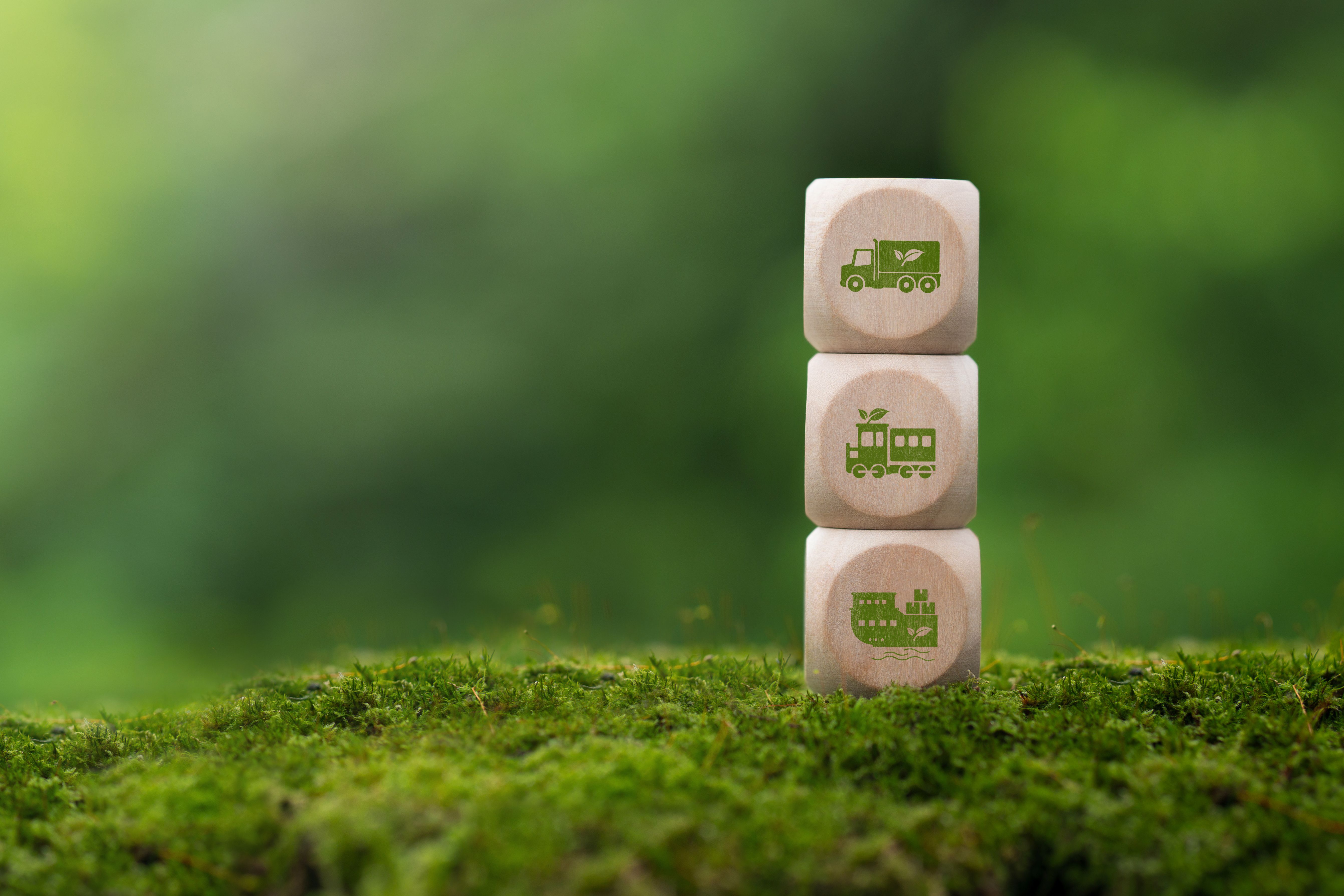 sustainability practices