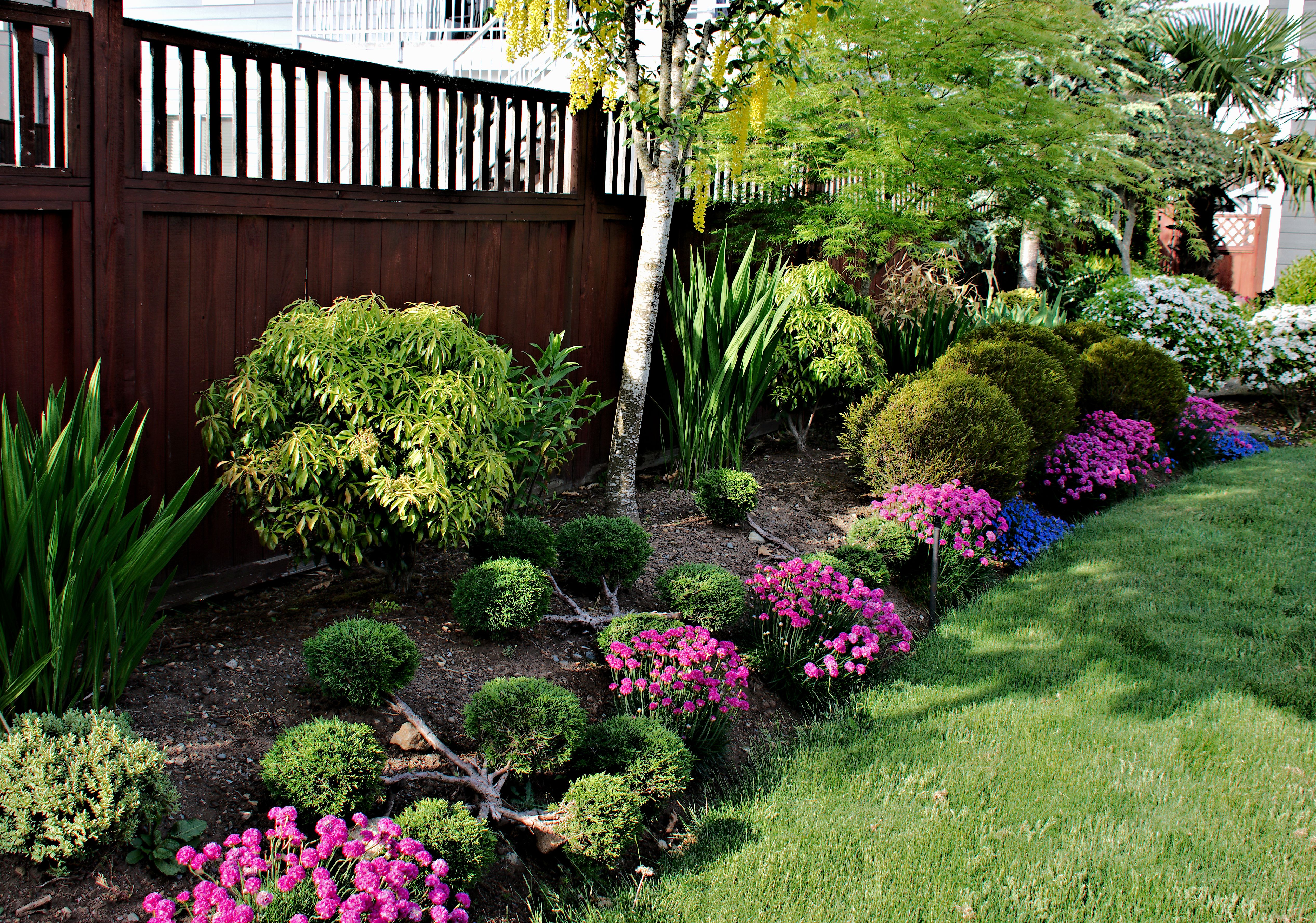 fence landscaping