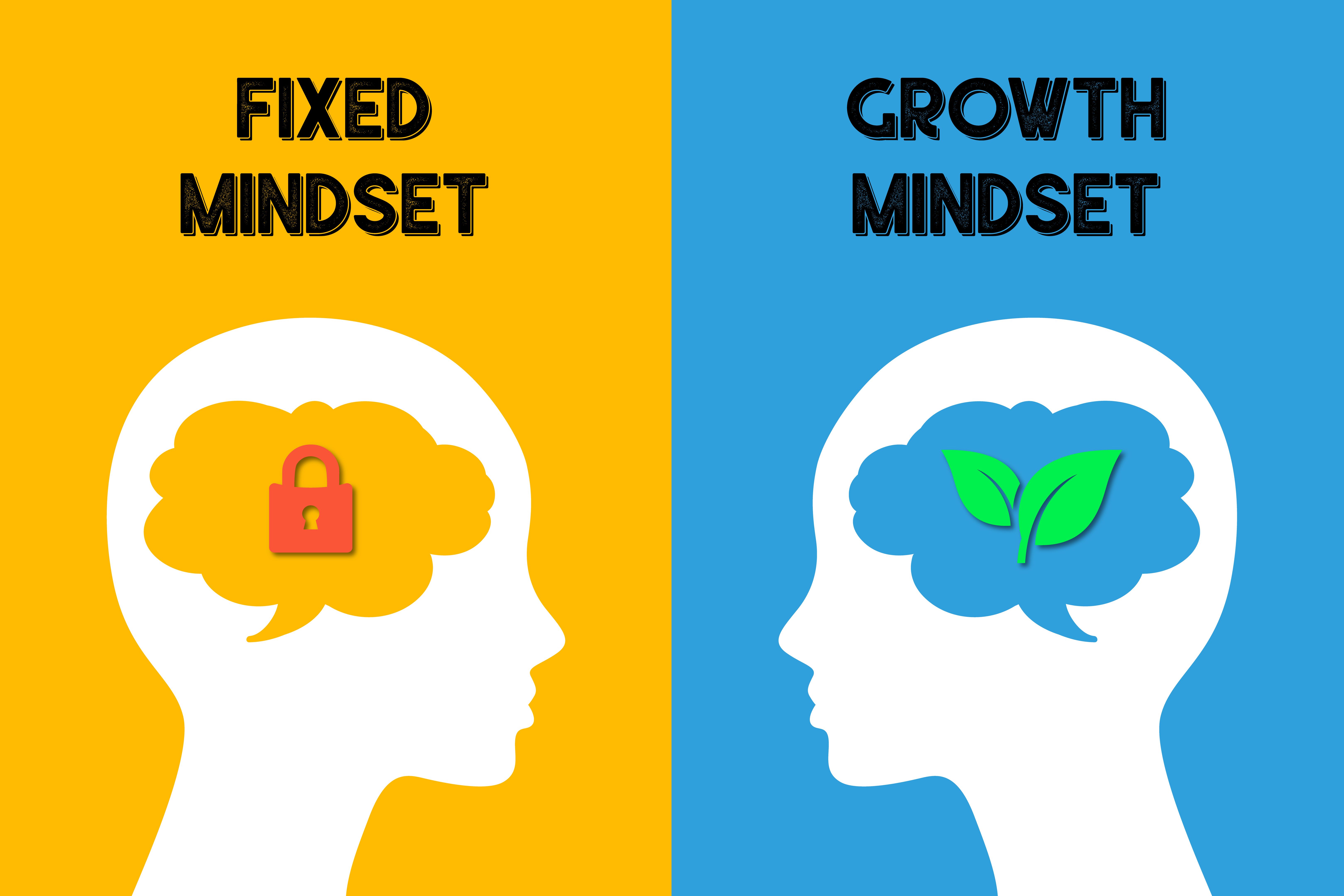 Fixed vs growth mindset Fixed vs growth mindset