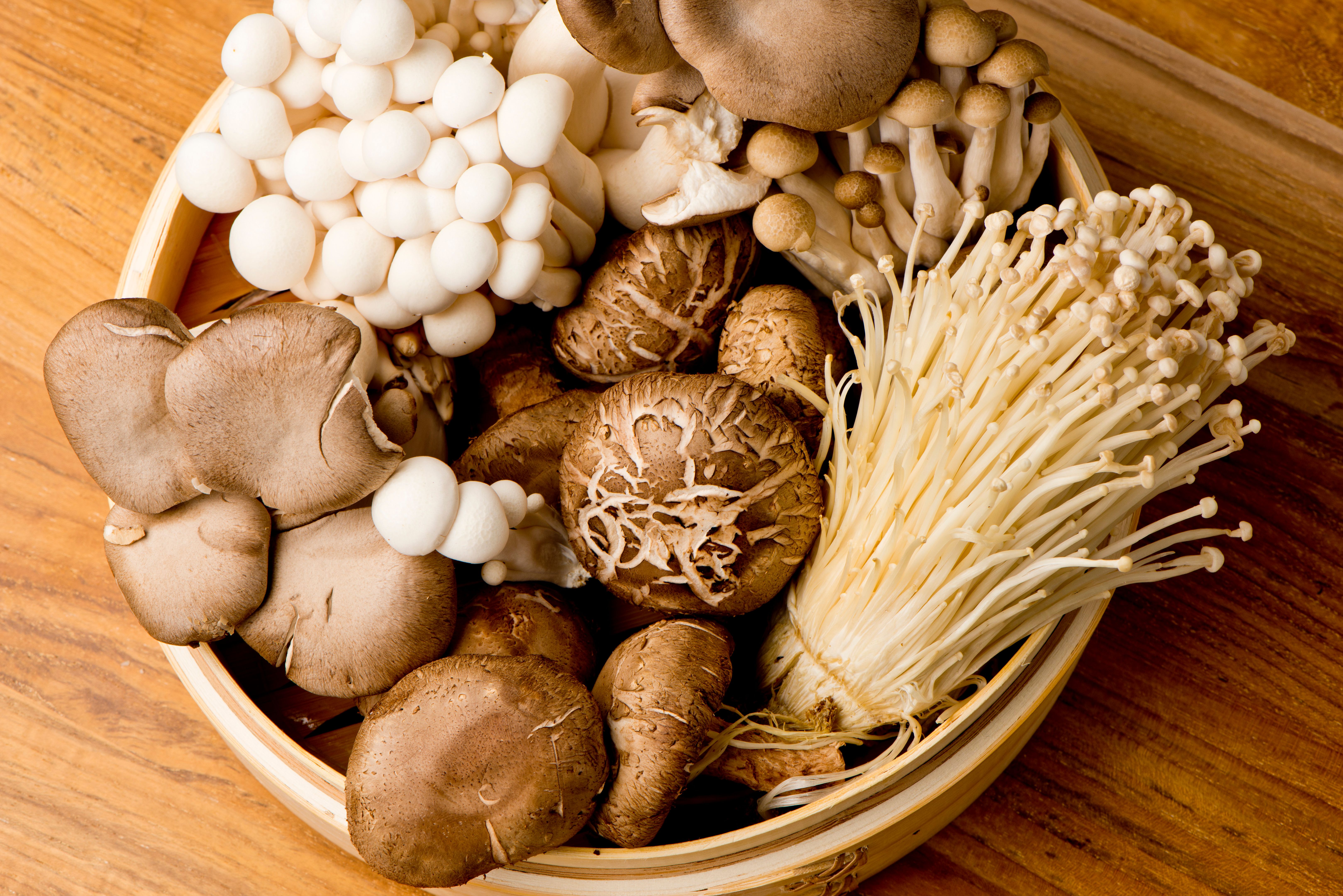 health benefits mushrooms