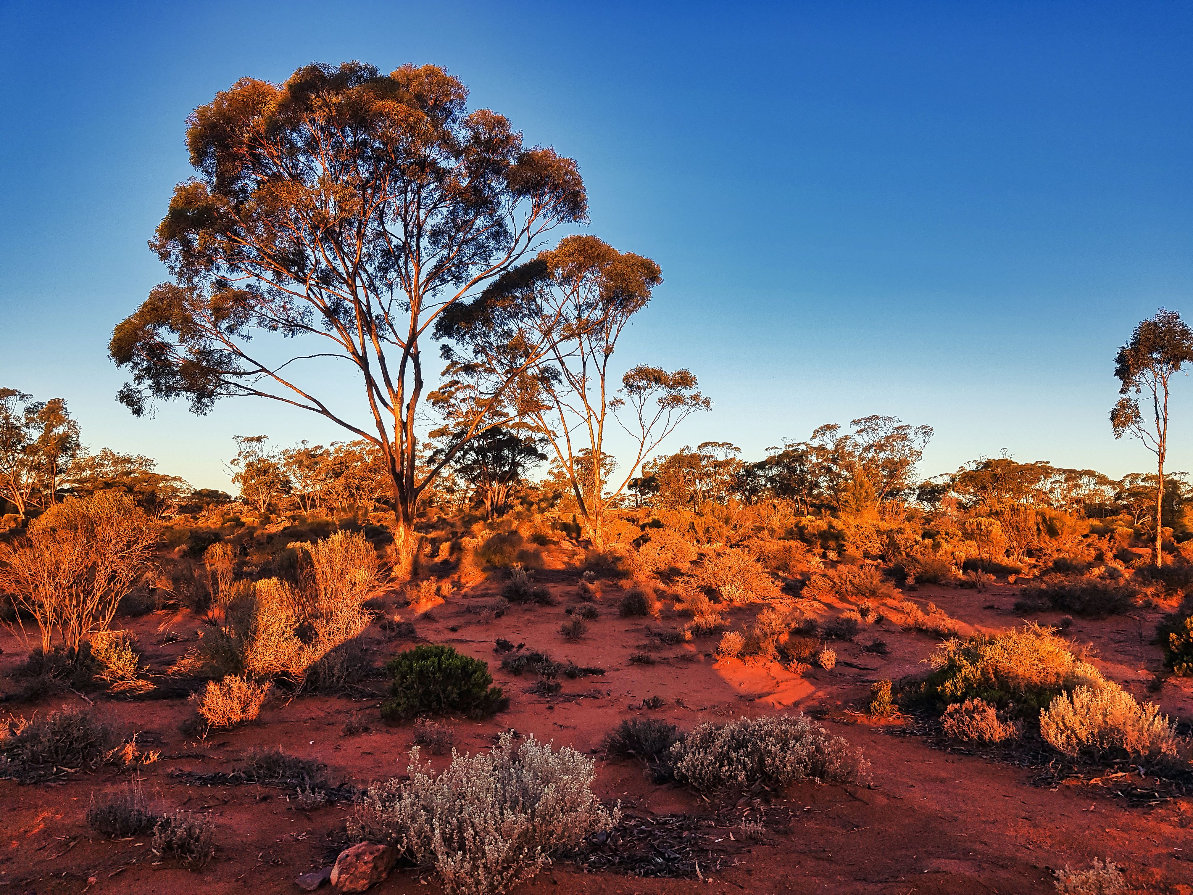western australia landscape