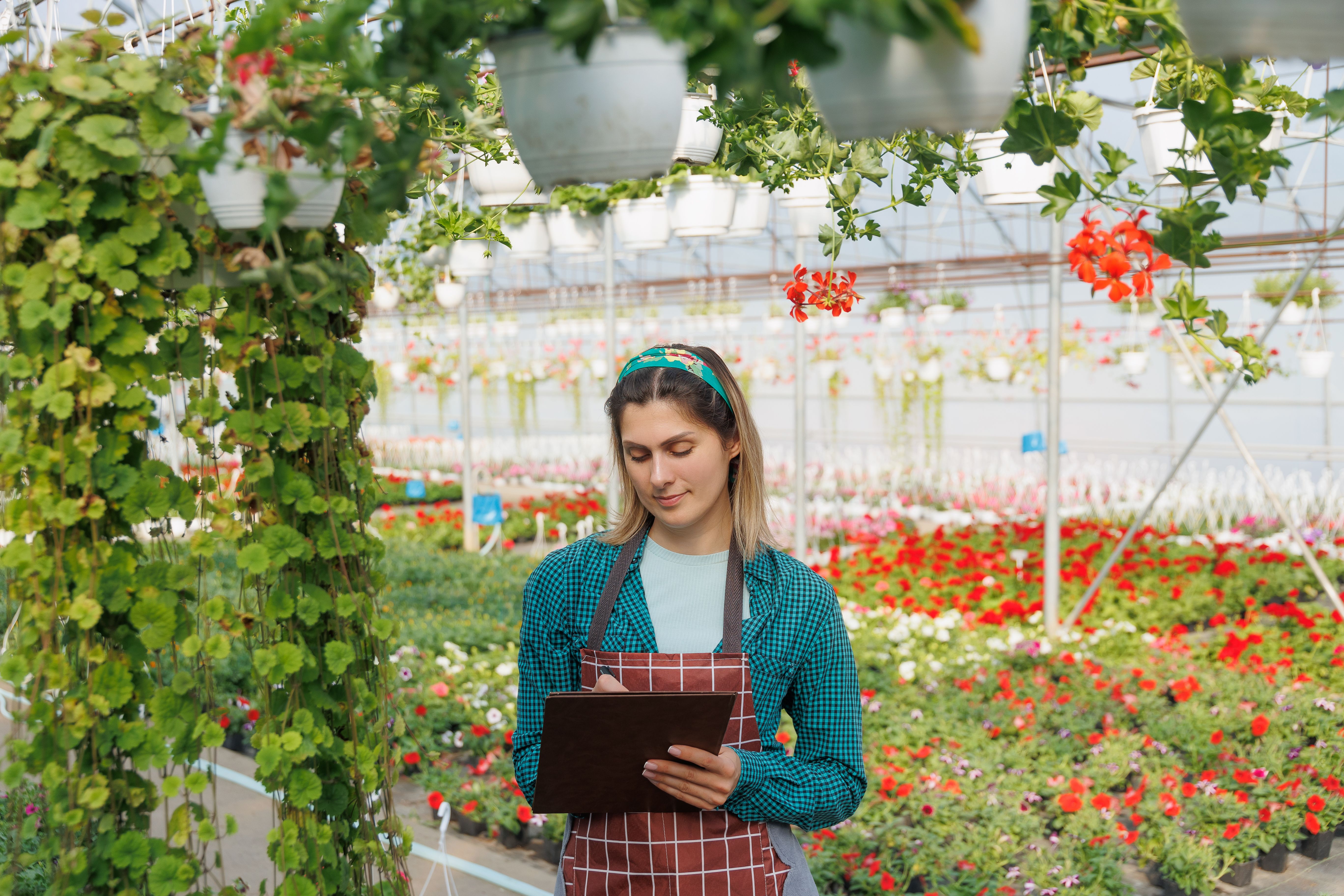 orchard health check