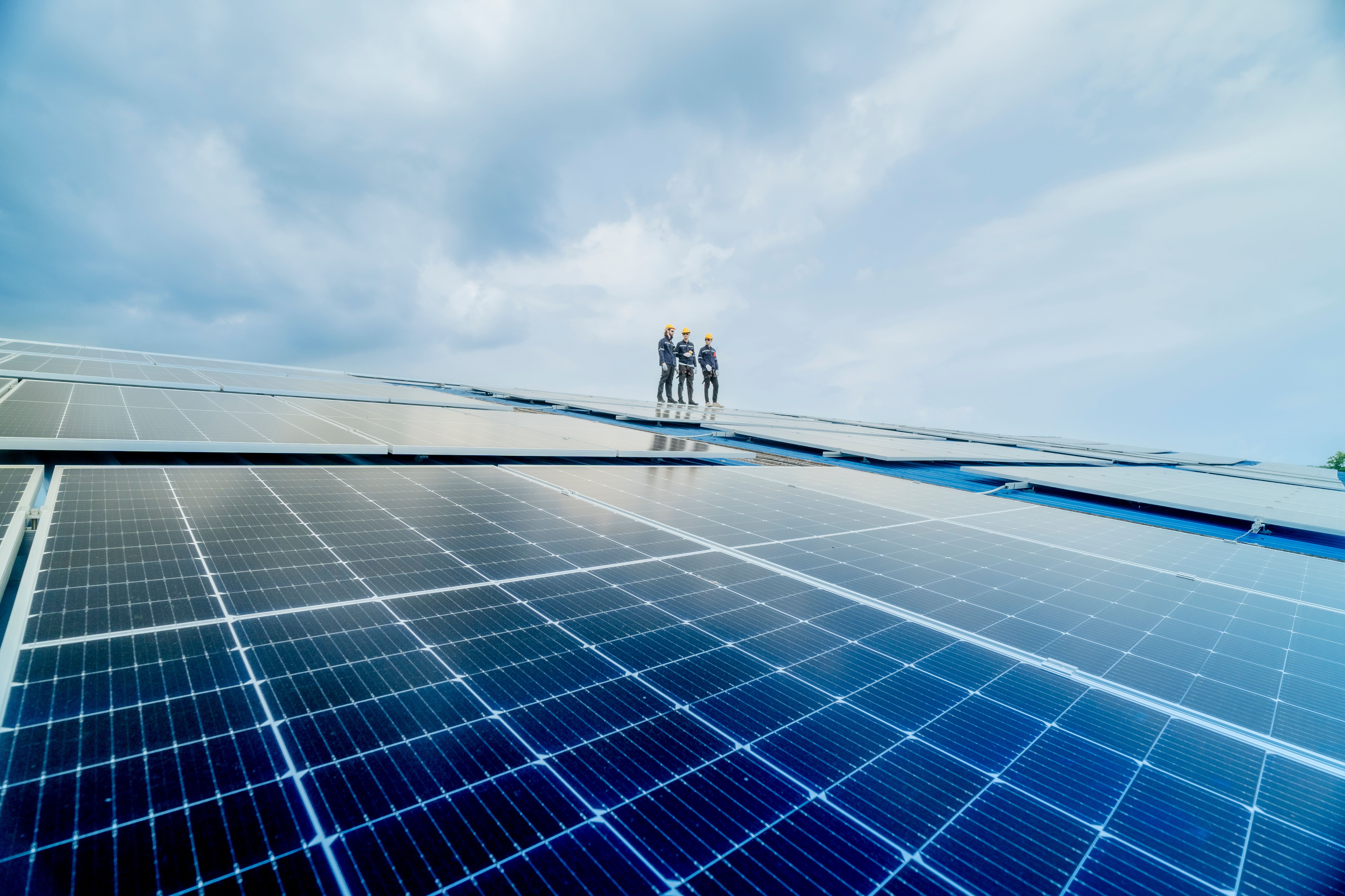 solar panels business