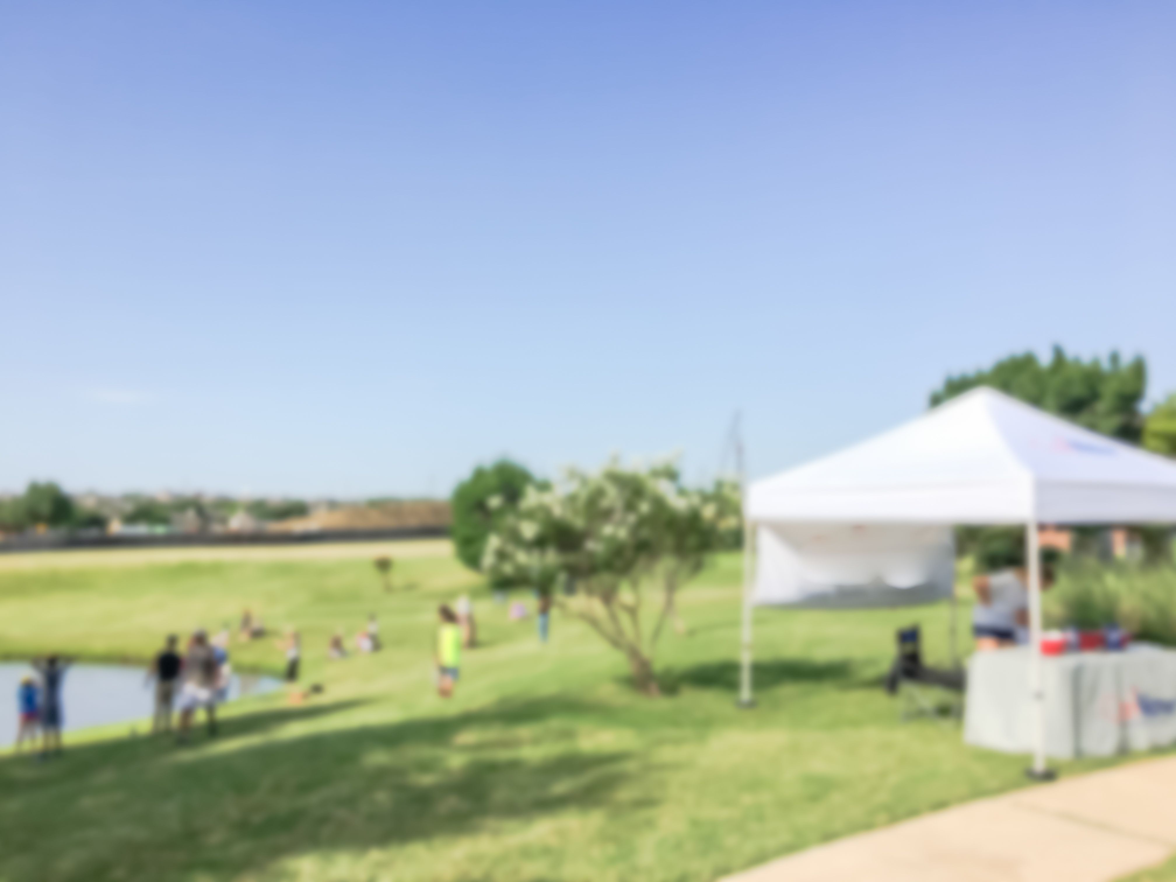 community event dyer