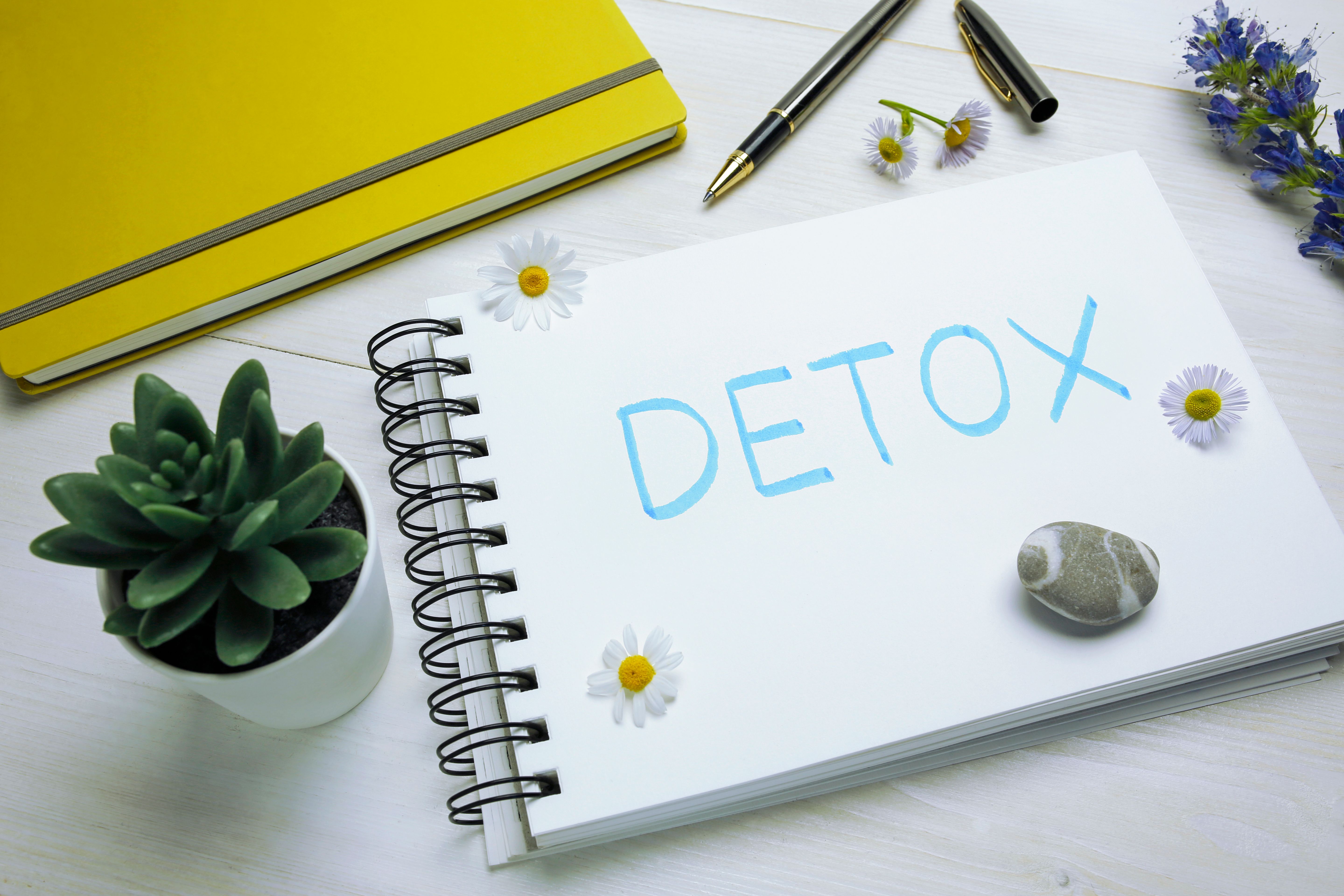 detox program