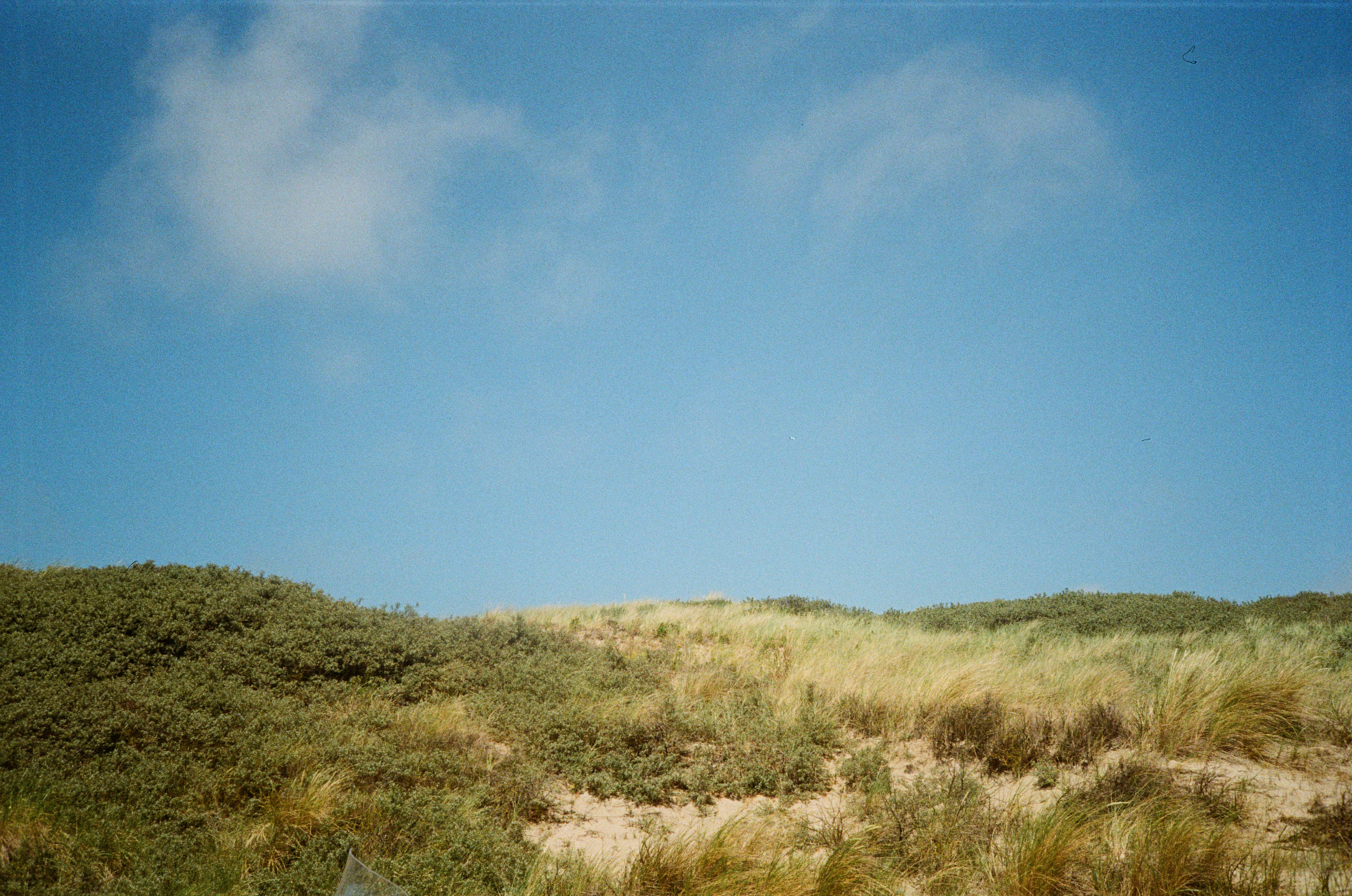 holland landscape