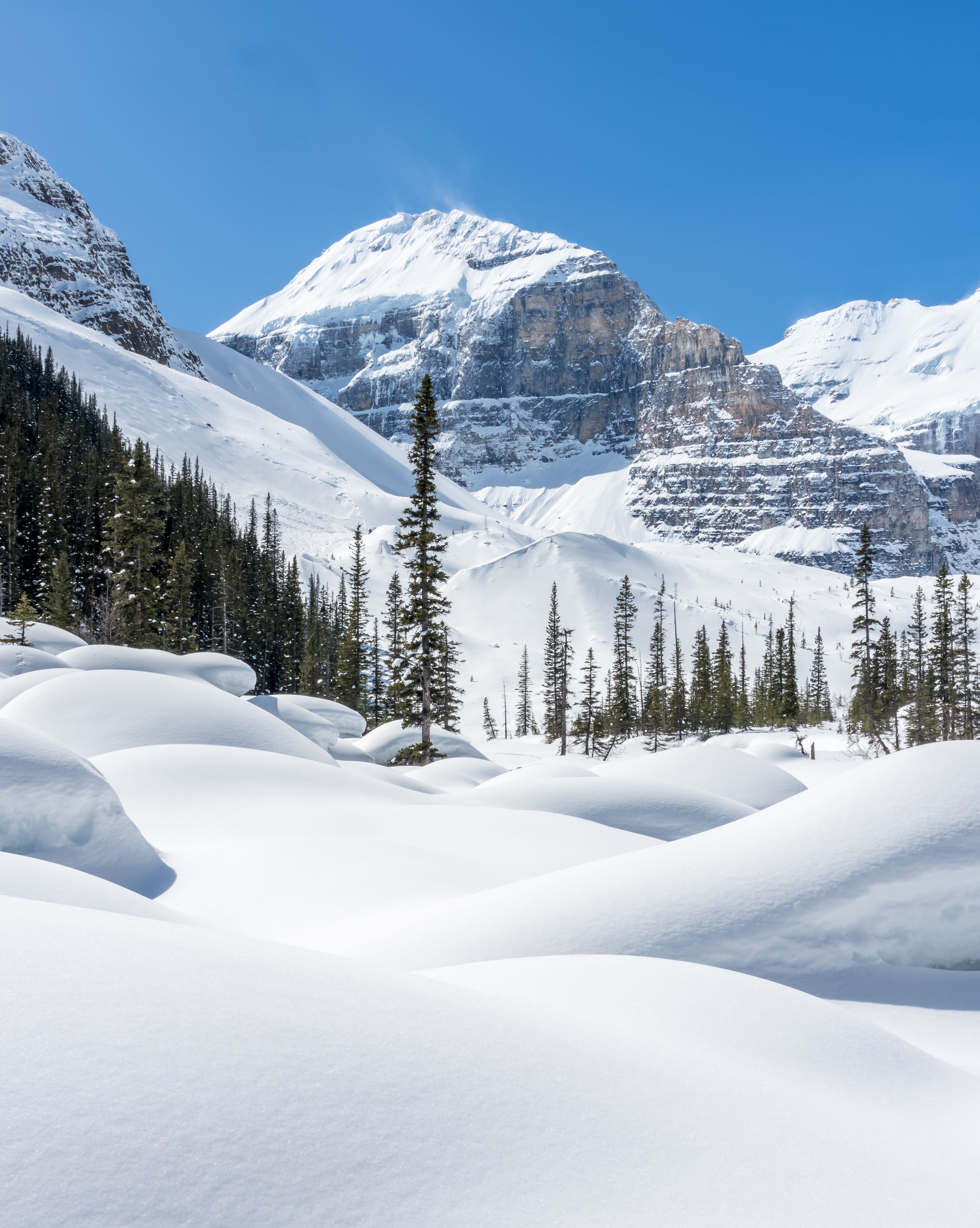 winter landscape alberta