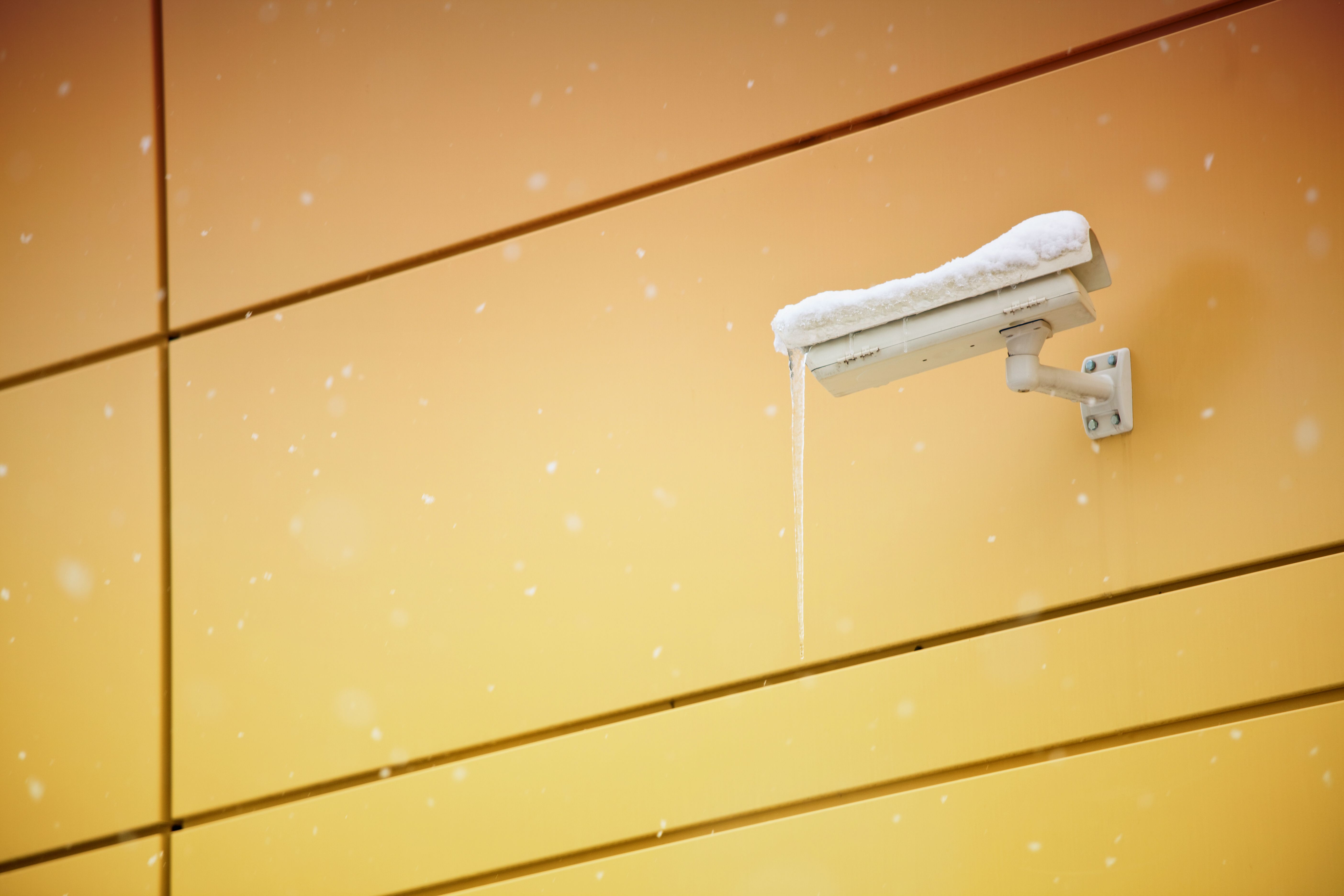snowy cctv