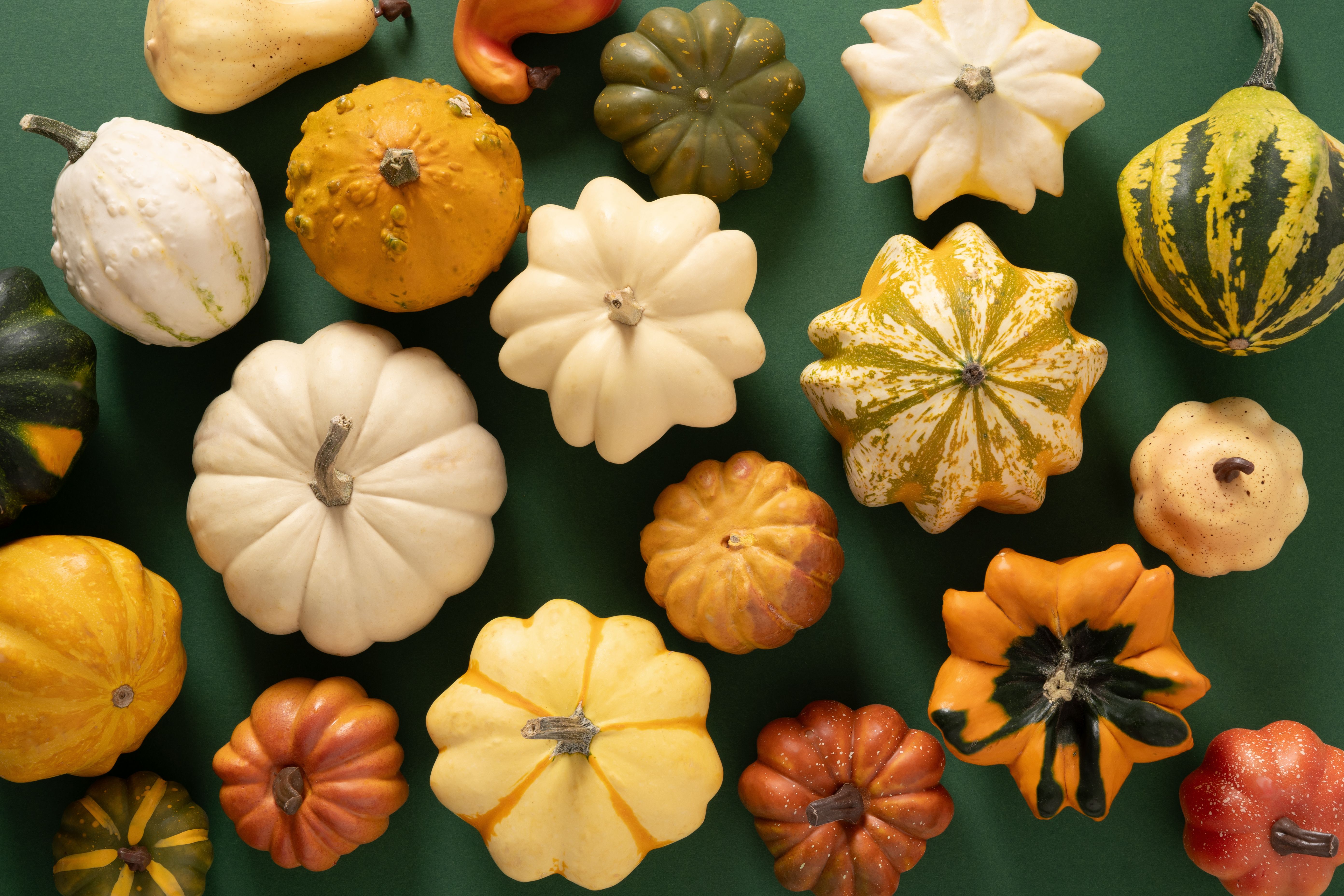 squash varieties