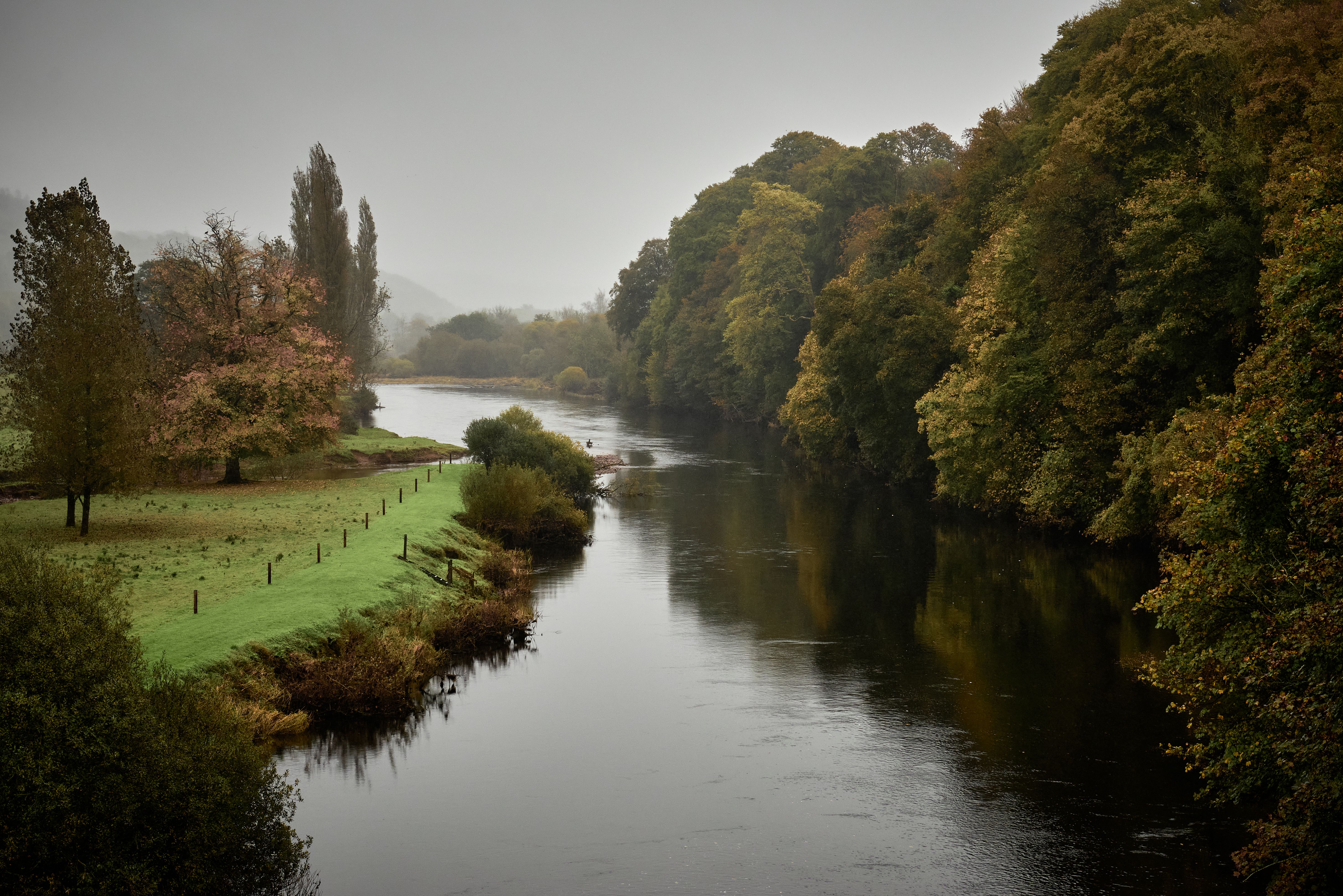 Serene view of the River Blackwater surrounded by lush autumnal foliage in Lismore, Ireland.