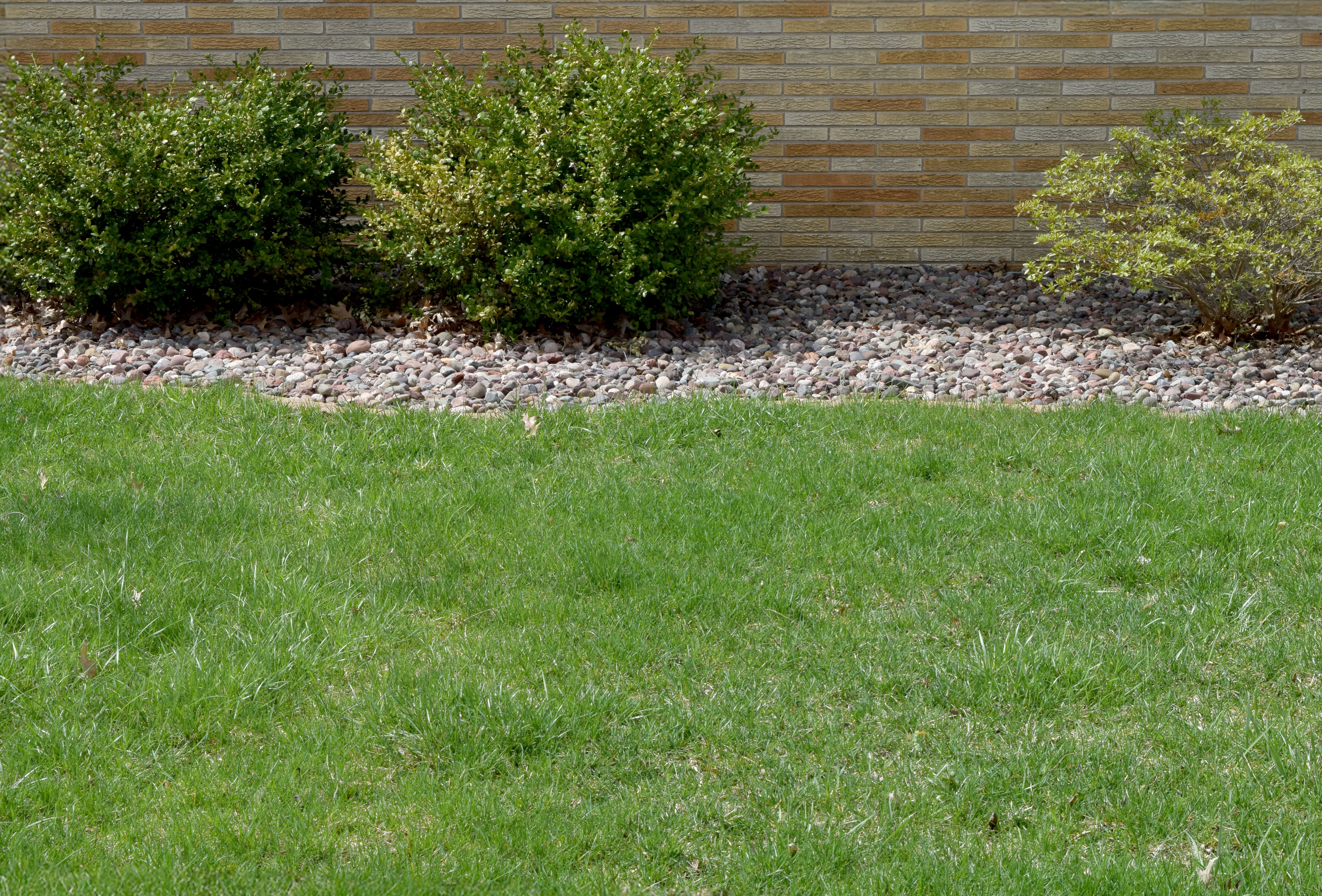 lawn care Ankeny