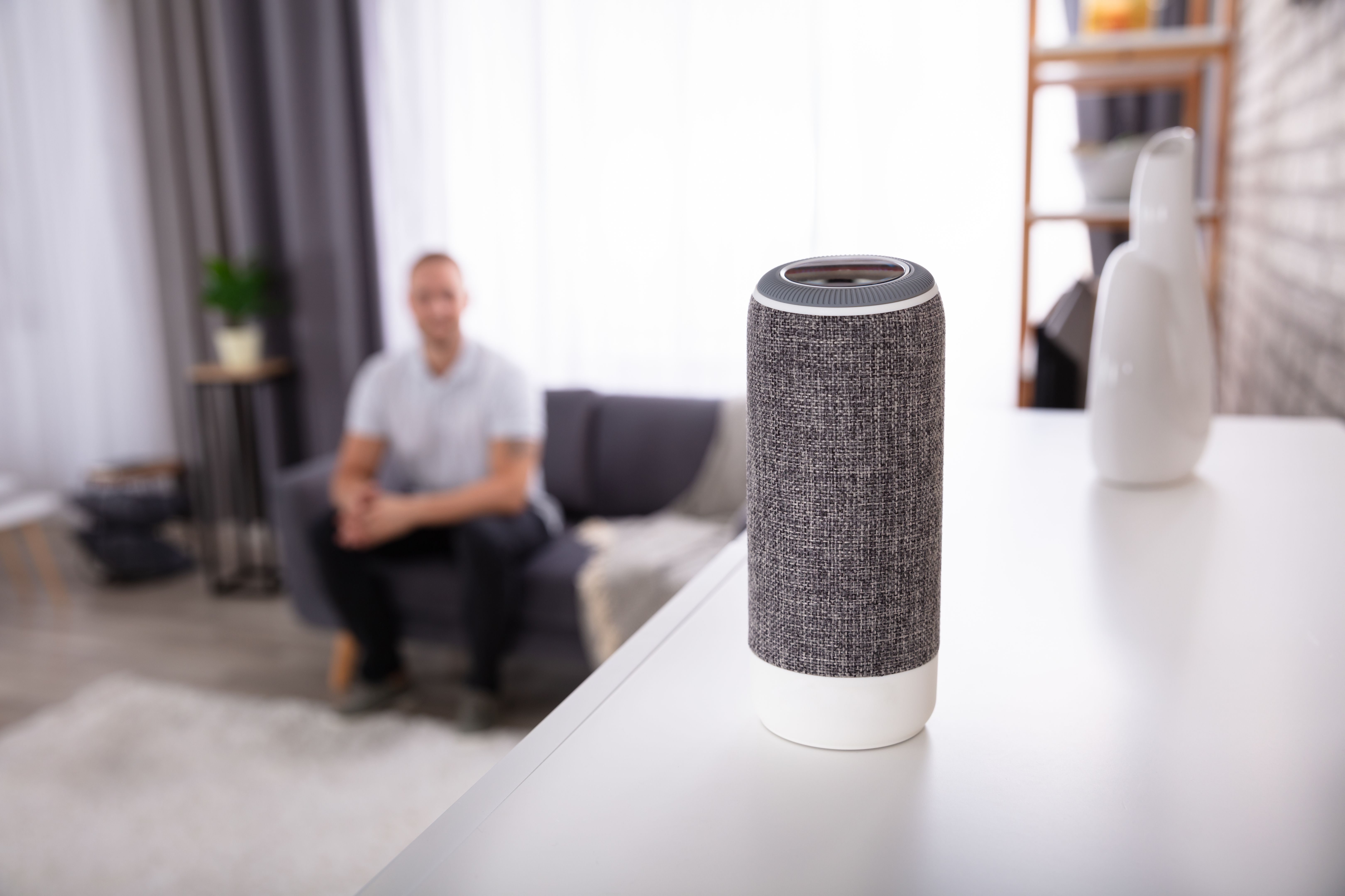 voice controlled assistant