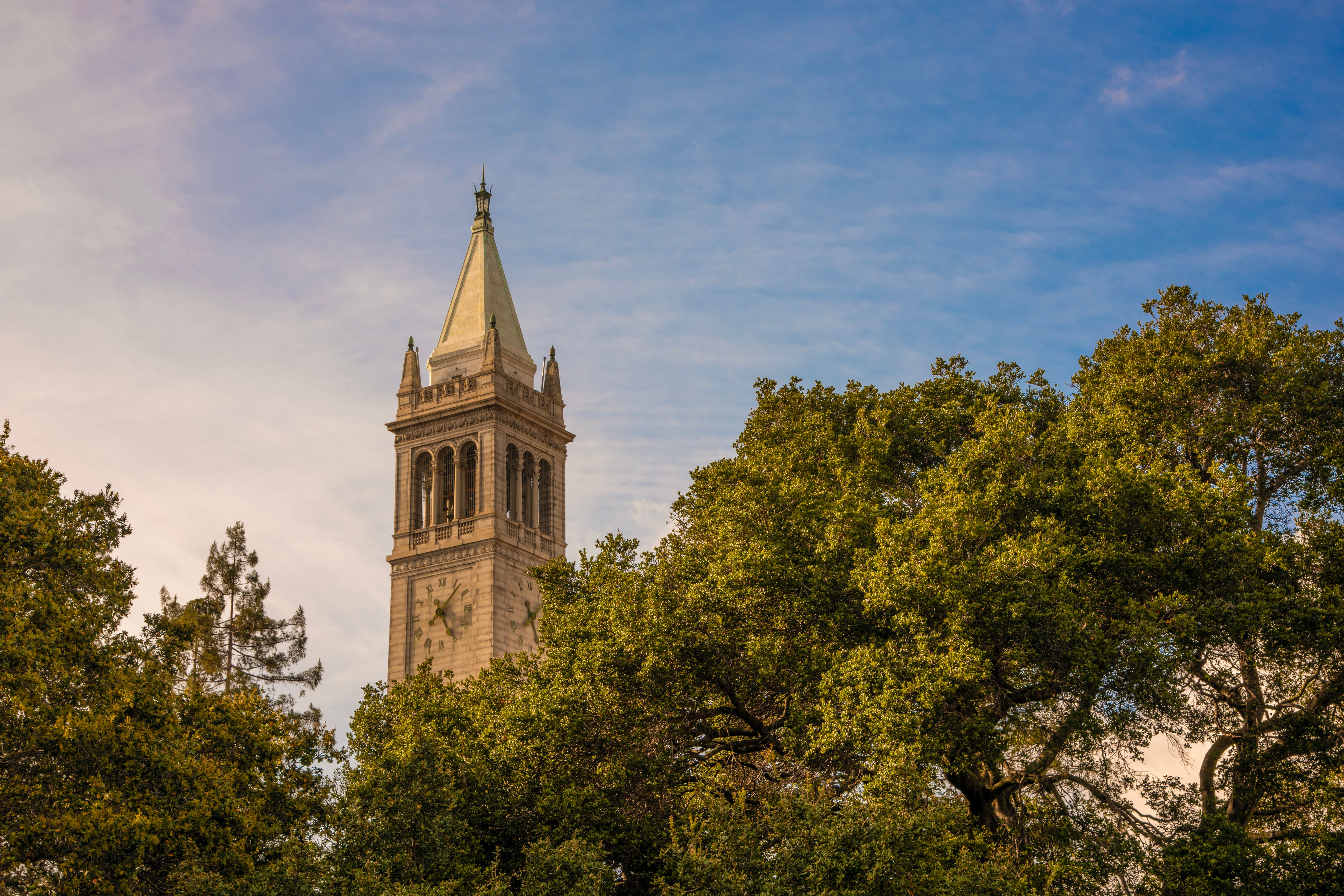 University of California in Berkeley Campus