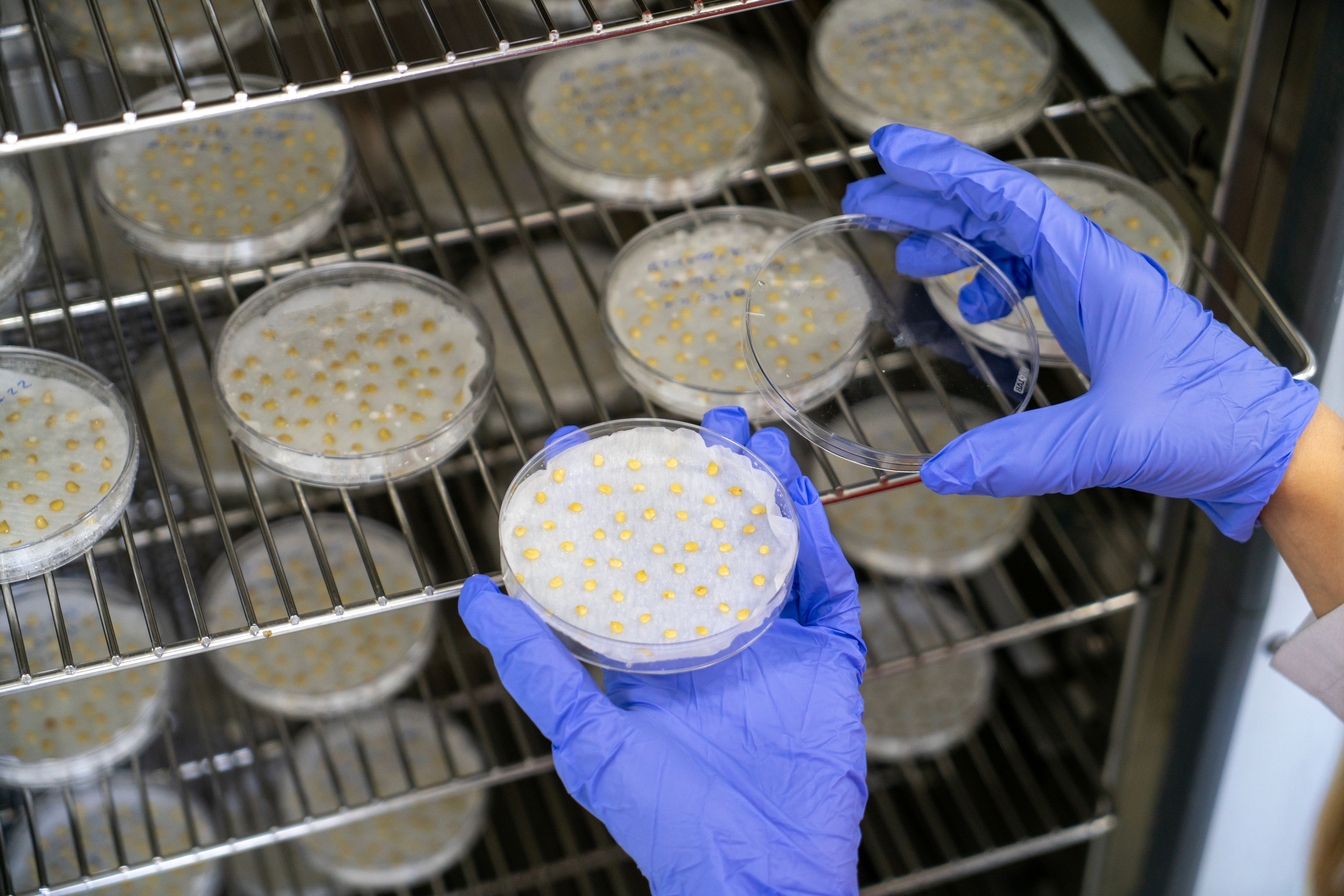 quality culture biotech