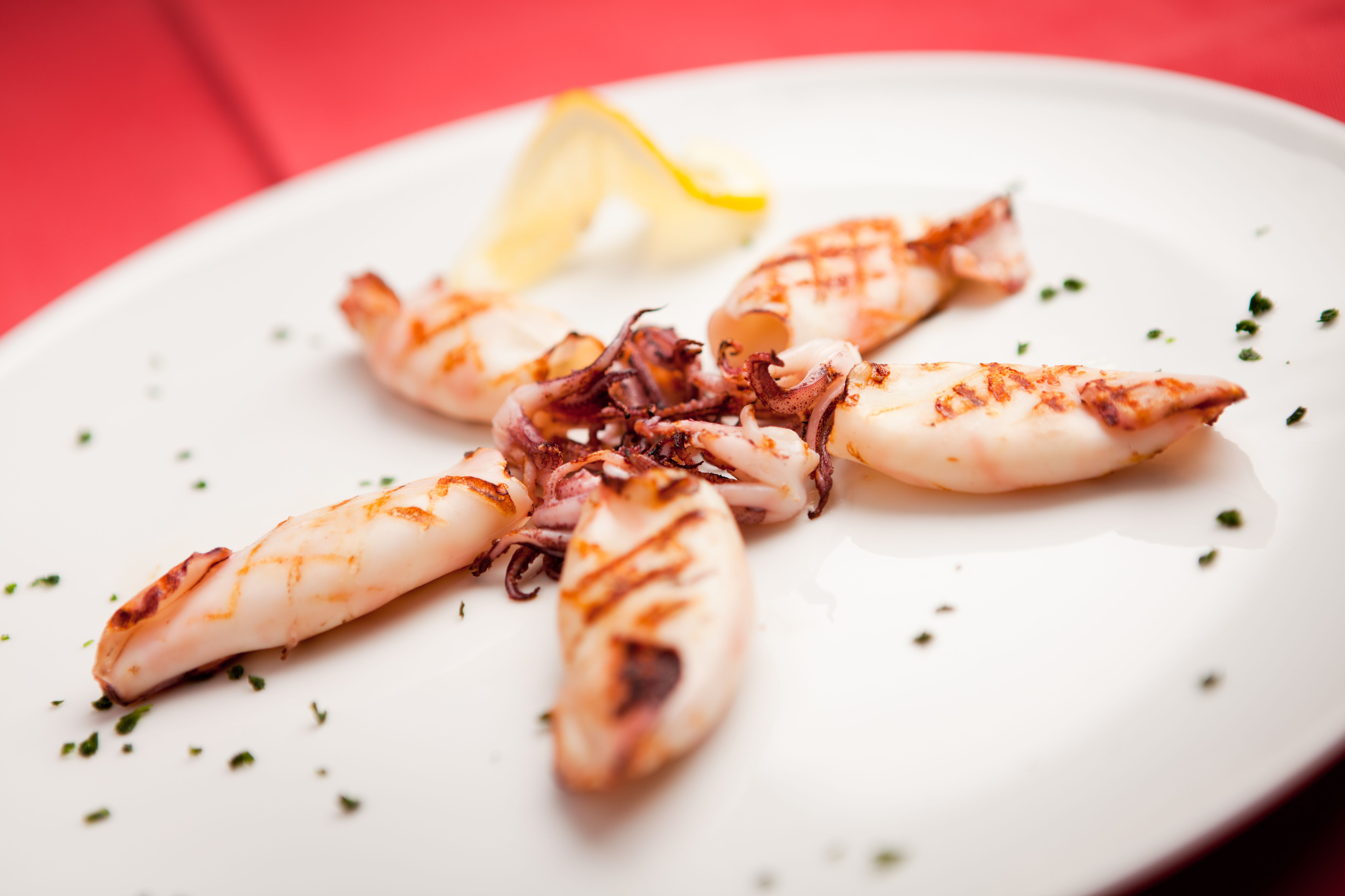 grilled calamari