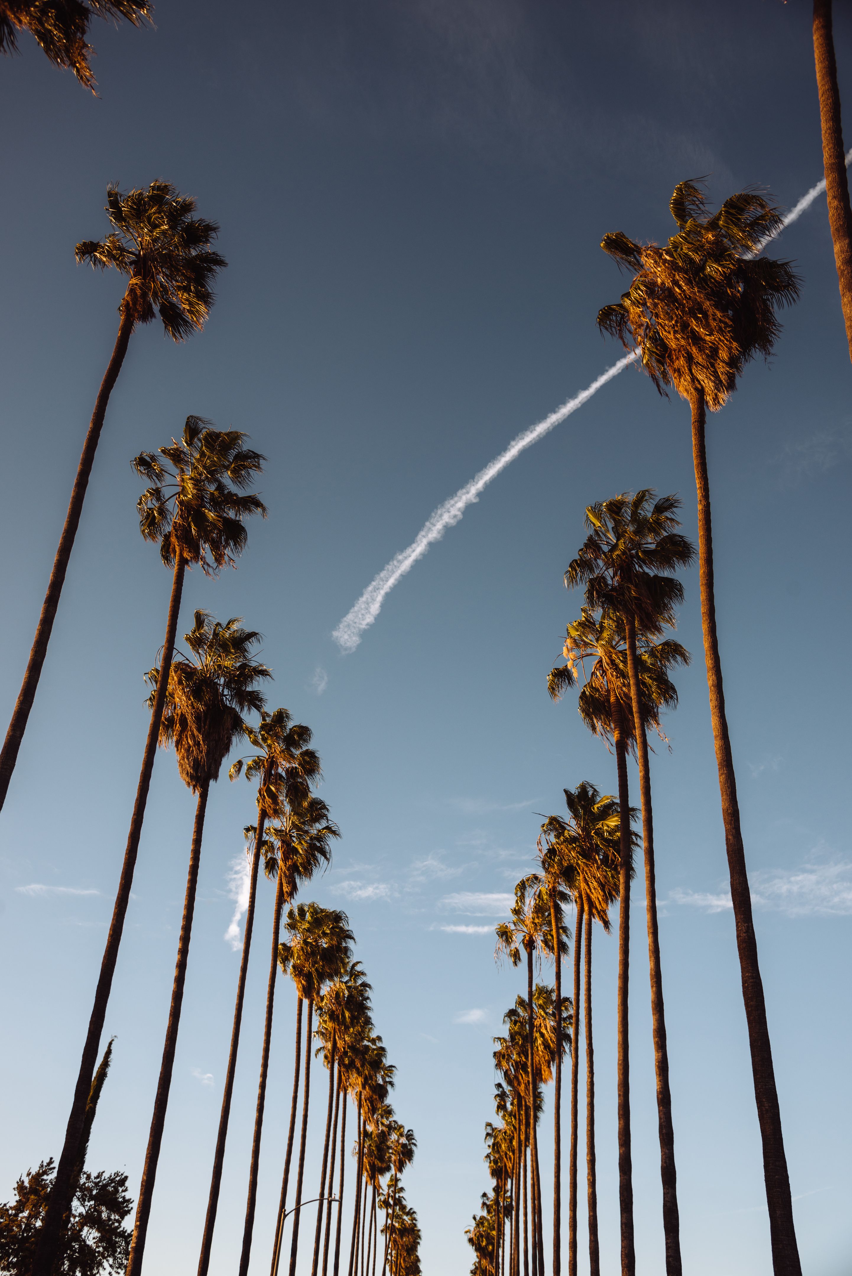 filmmaking in california