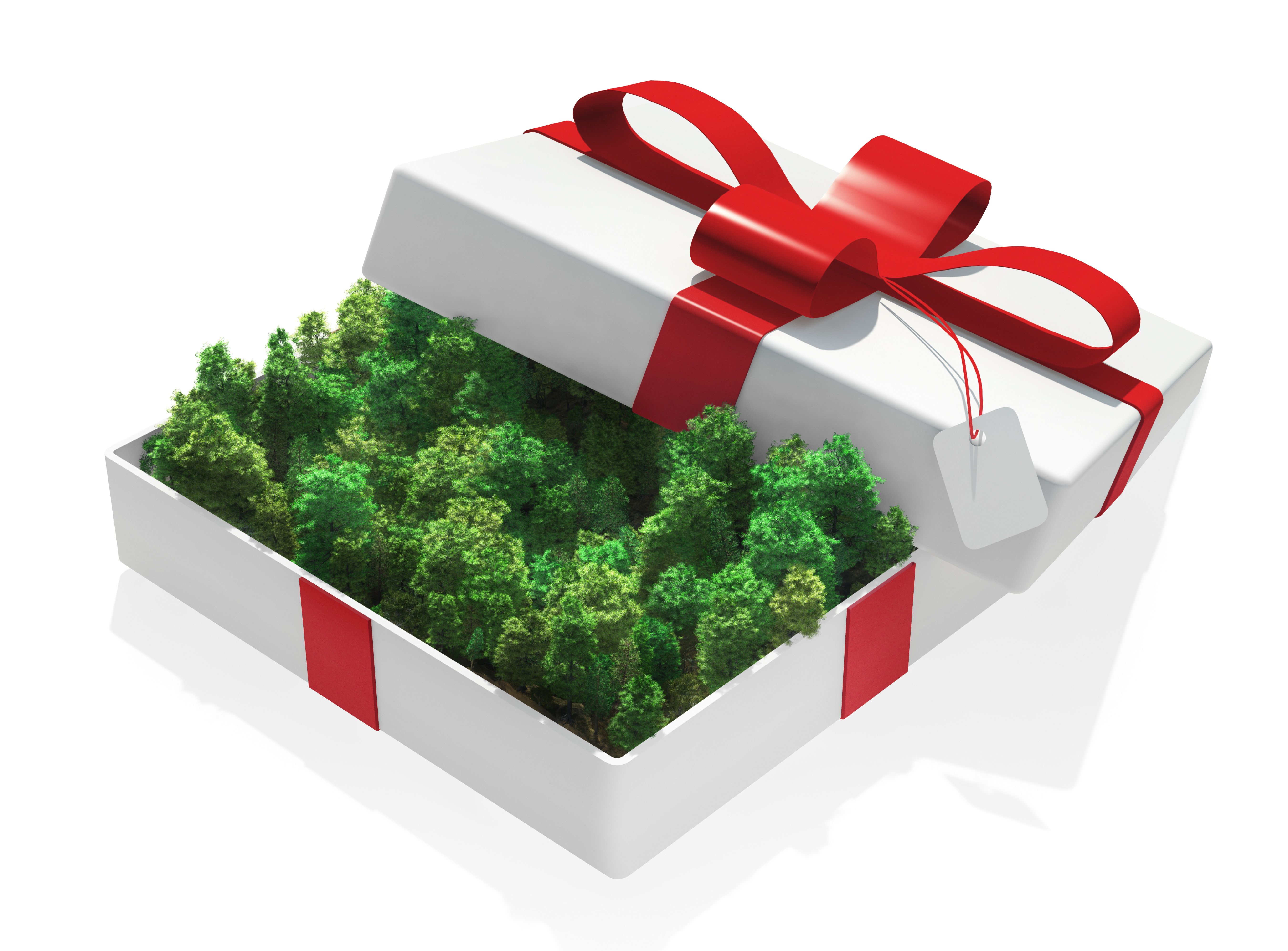amazon gift card