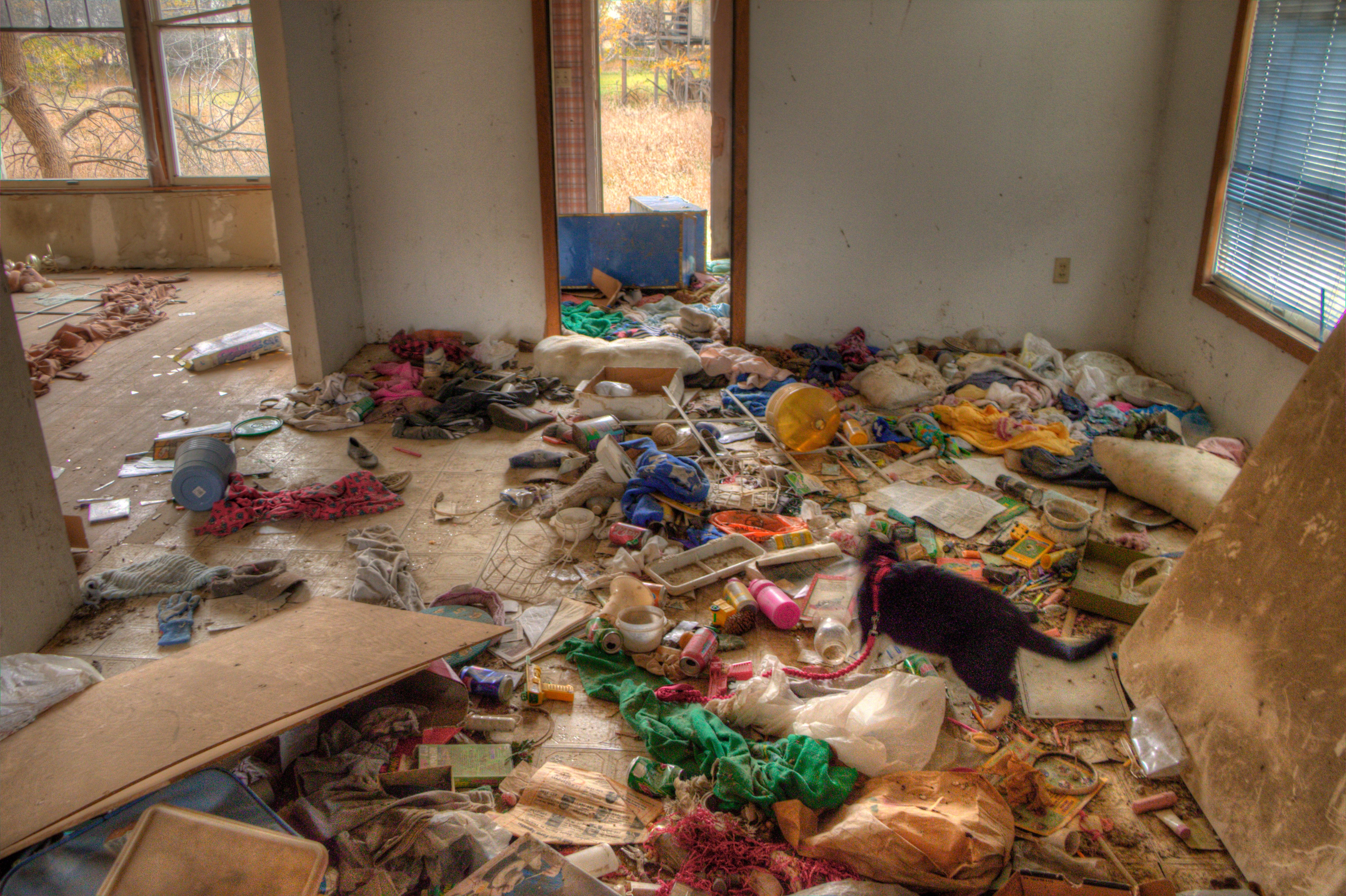 hoarder house cleanout