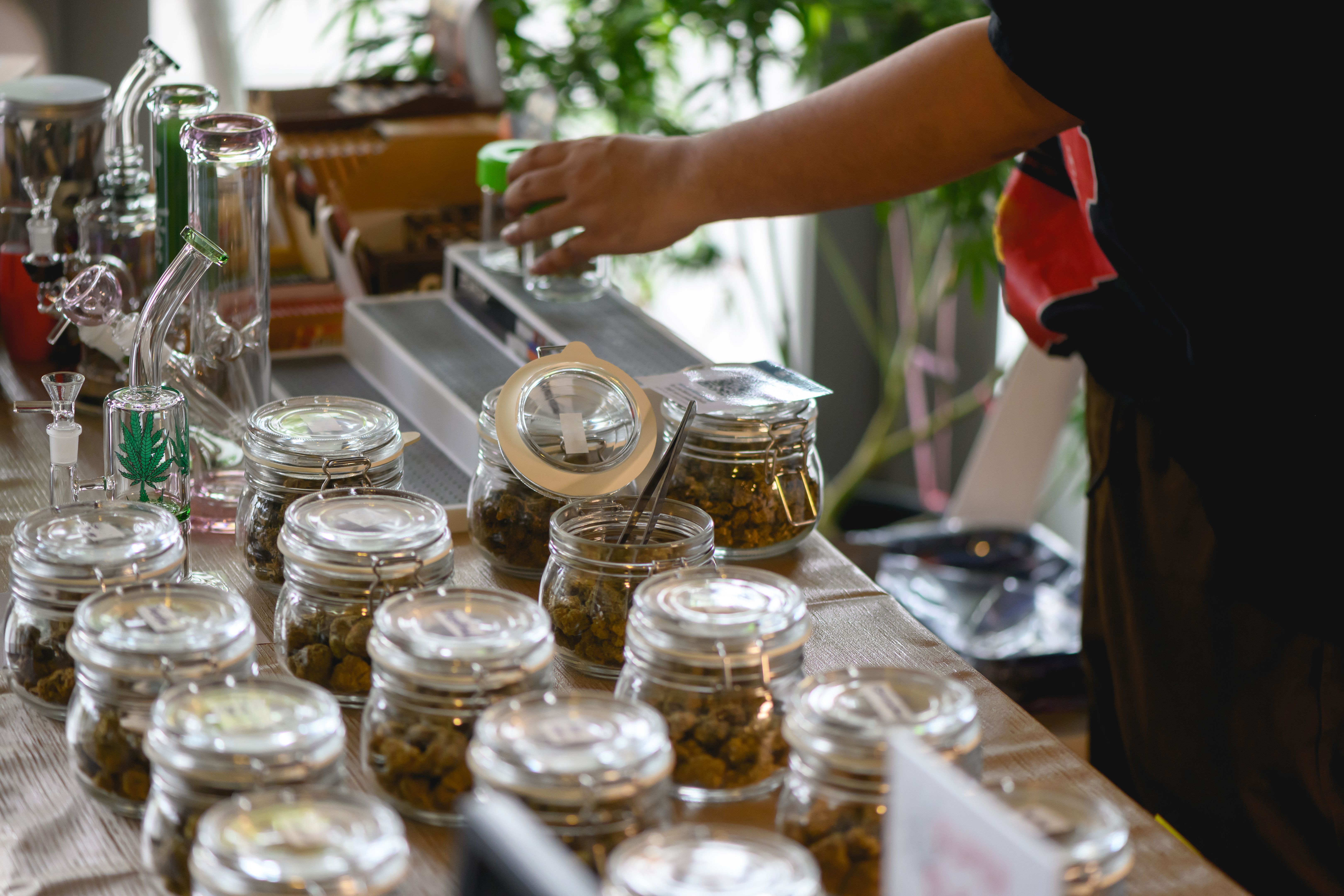 Different types of cannabis in jars