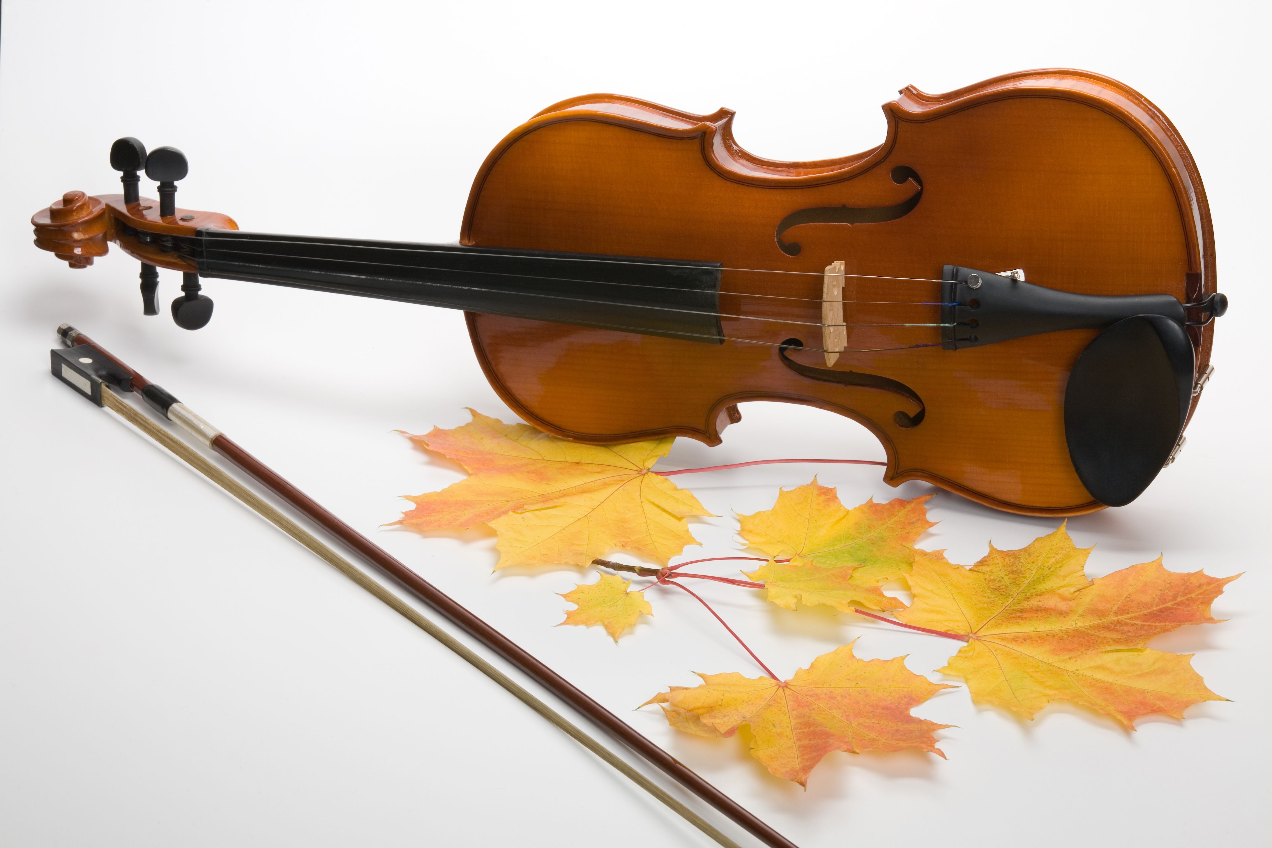 autumn music