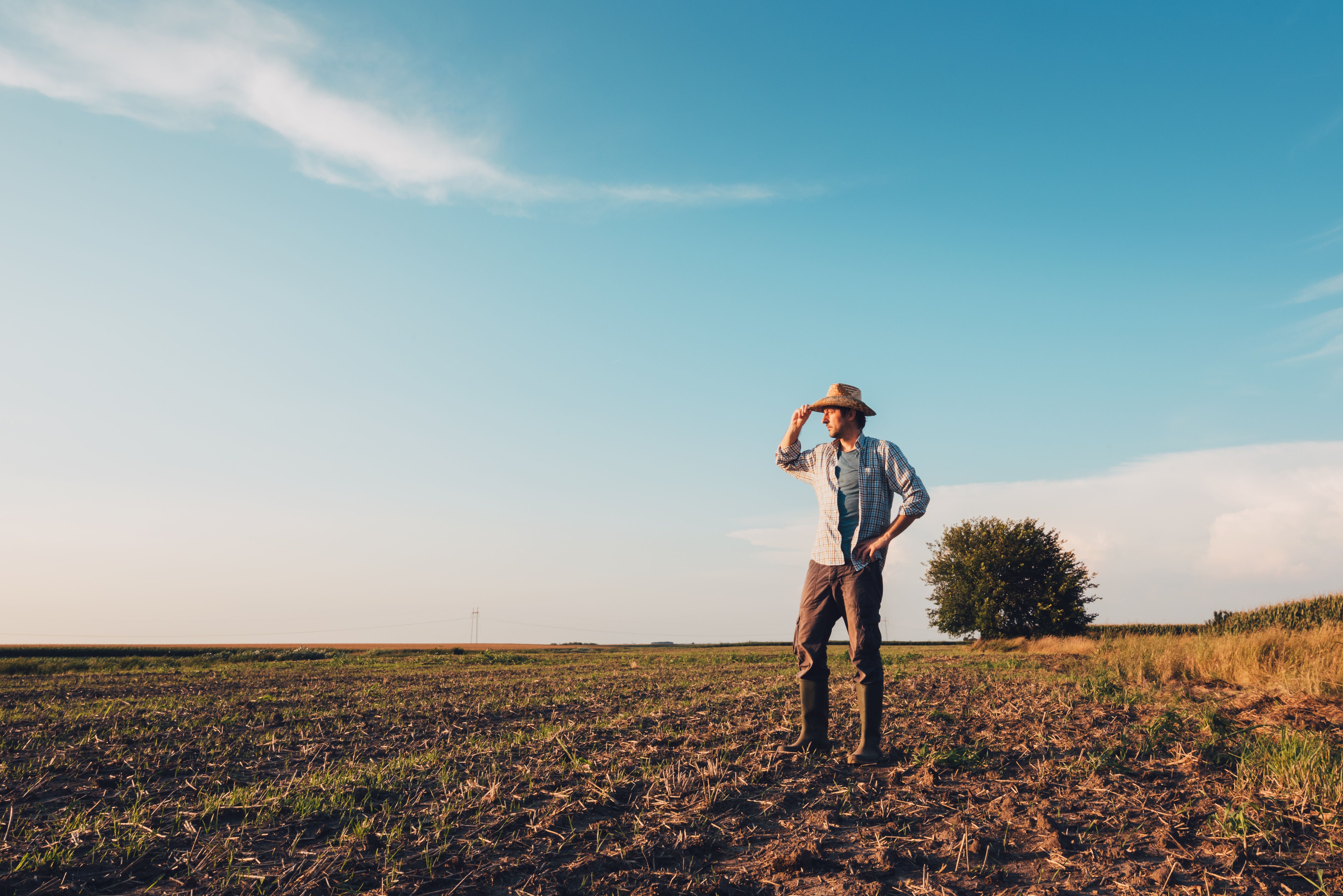 farmer planning