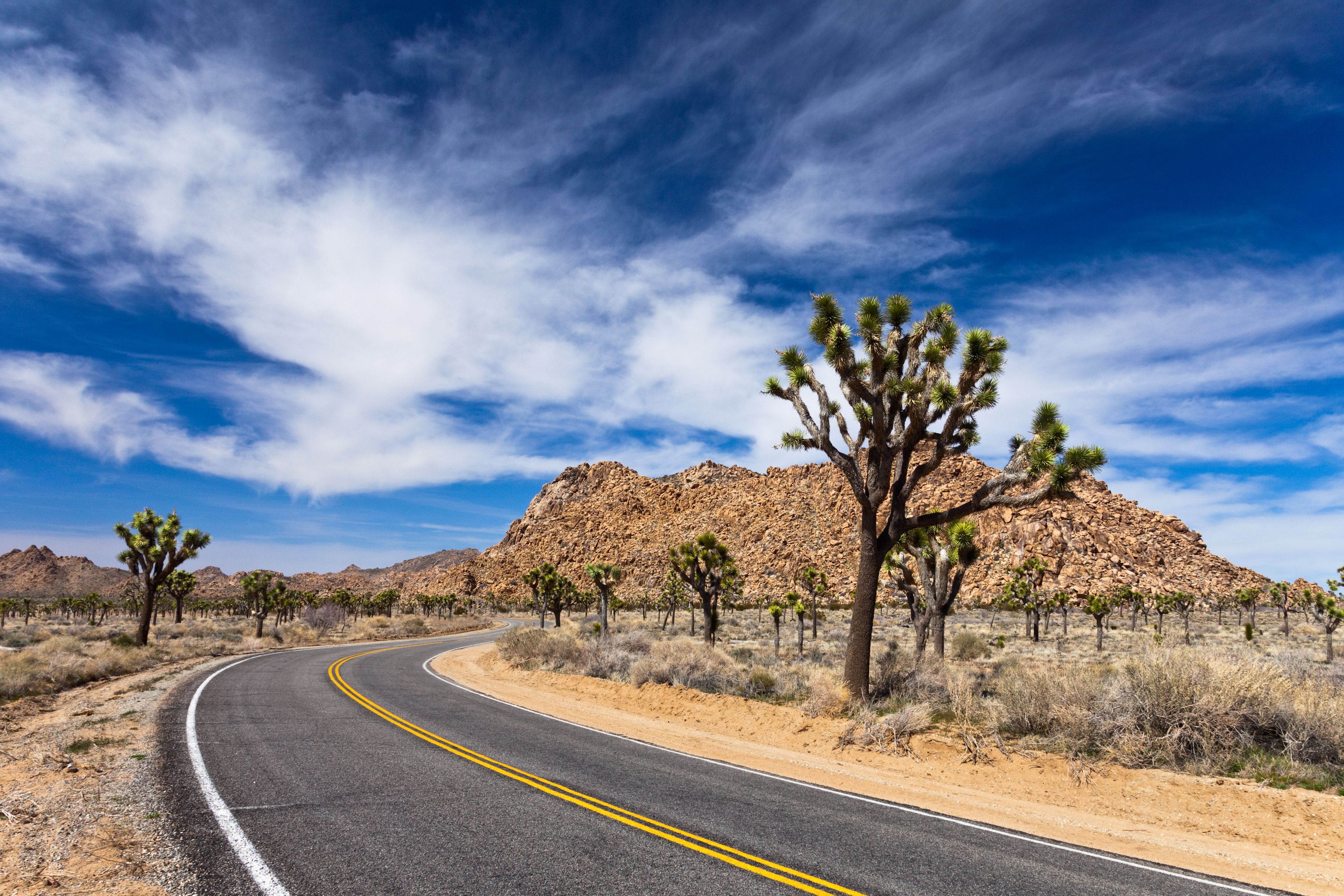joshua tree road