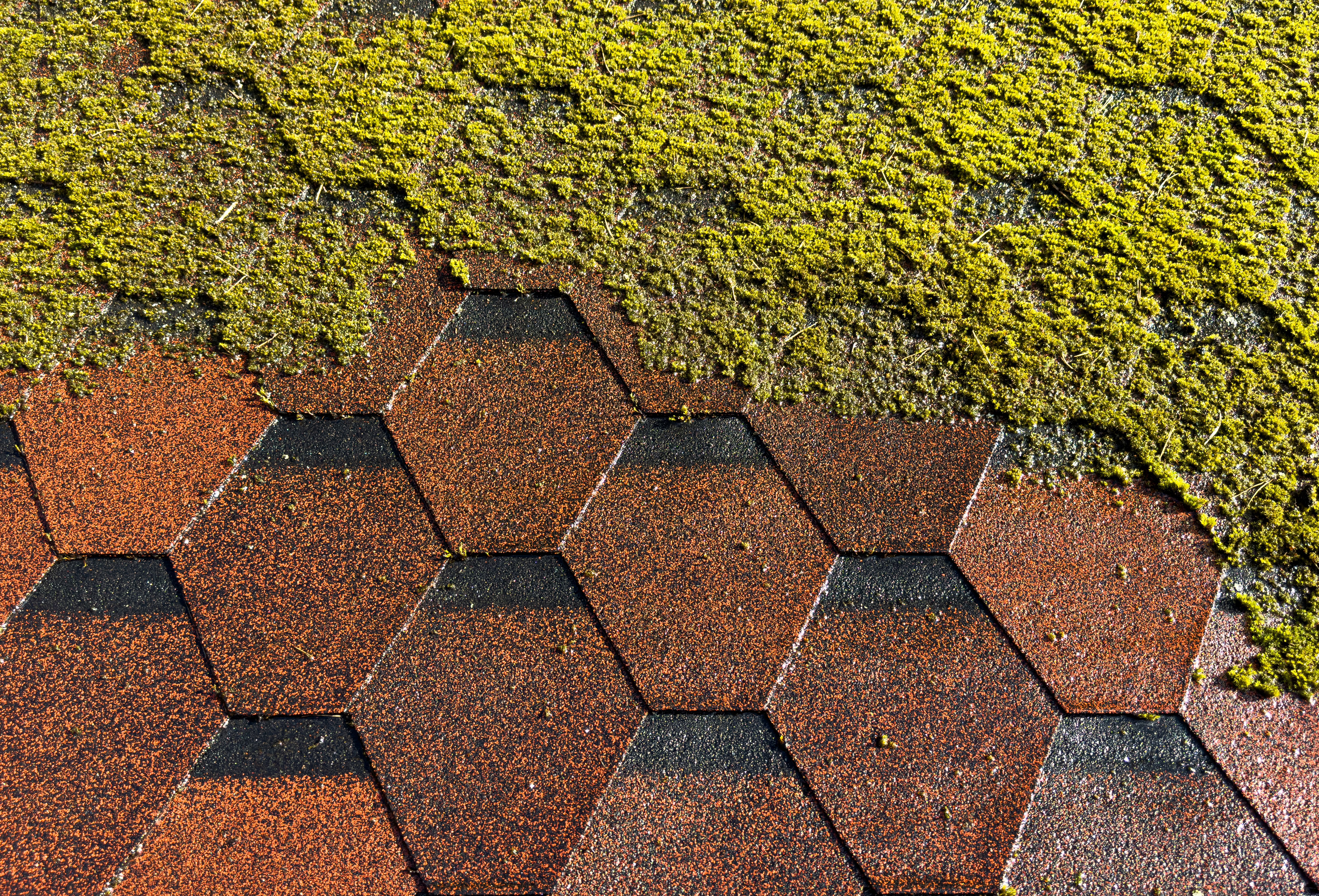 soft washing roof