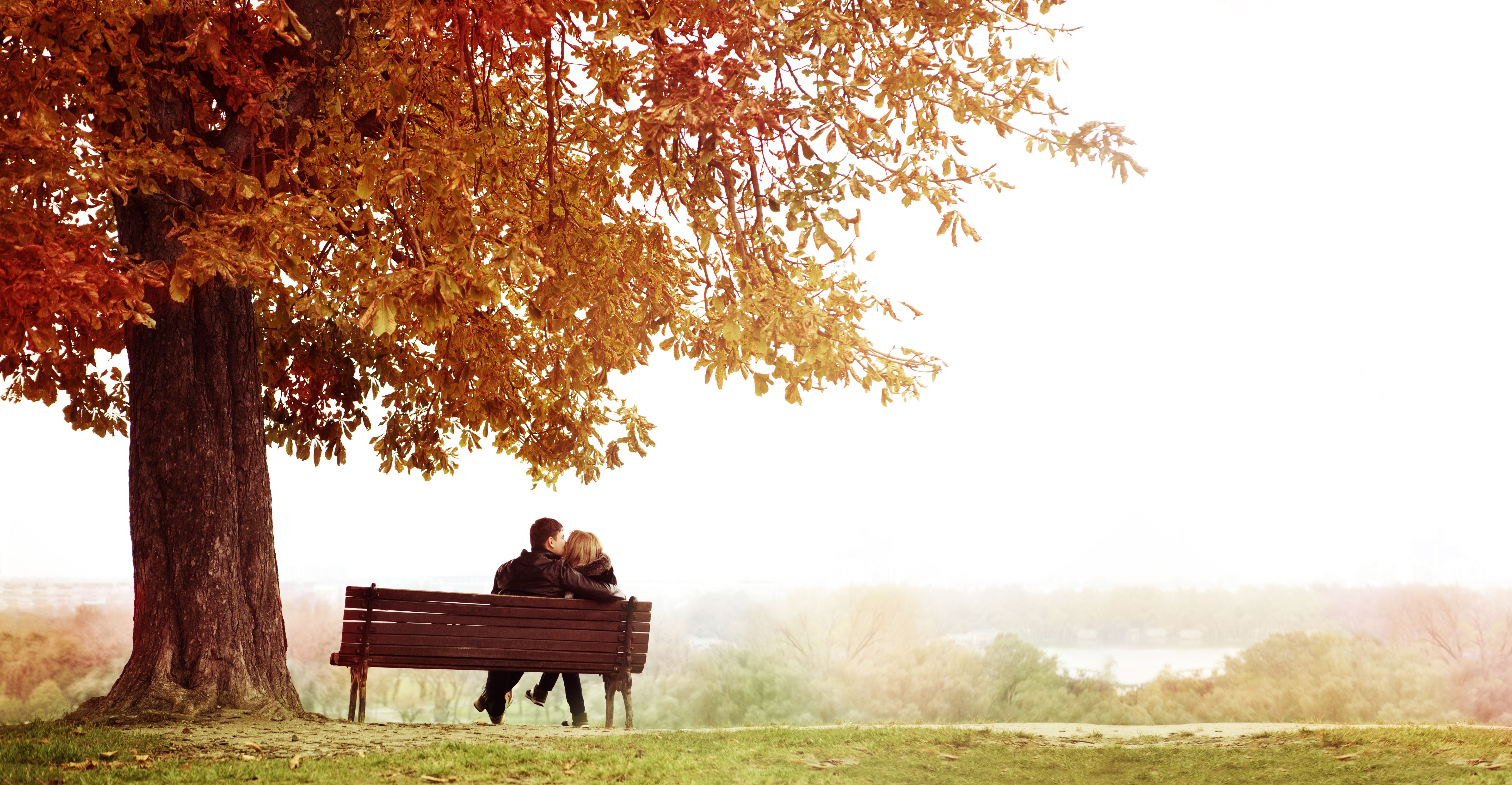Young Couple Kissing on a Bench under the Huge Chestnut .